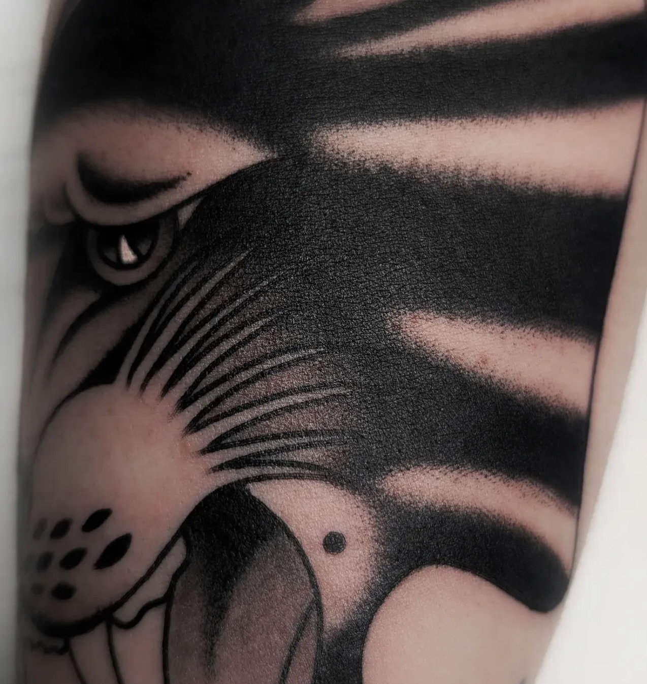Appointments available with Darren
@dquinn.tattoo
@dquinn.tattoo
@dquinn.tattoo