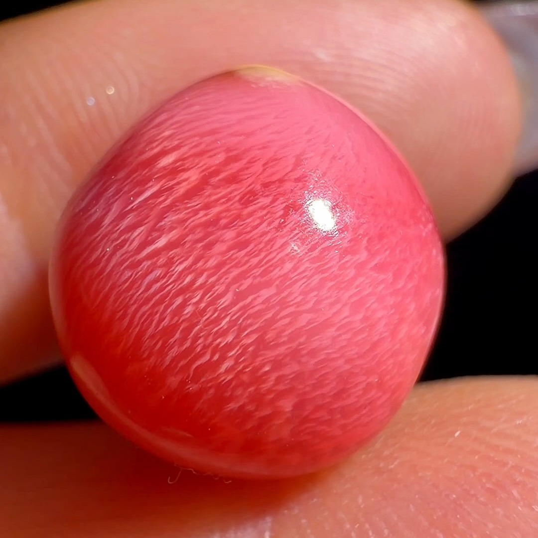 CONCHÉA — FLAMINGO REVERIE
Not flawless — but unmistakably alive.
A 13.4-carat natural conch pearl displaying vivid flamingo pink color and flowing flame structure.
Like all extraordinary natural creations, its beauty lies not in perfection, but in character.
#ConchPearl #RarePearls #Conchéa #CollectorPearl #ThePearlVogue