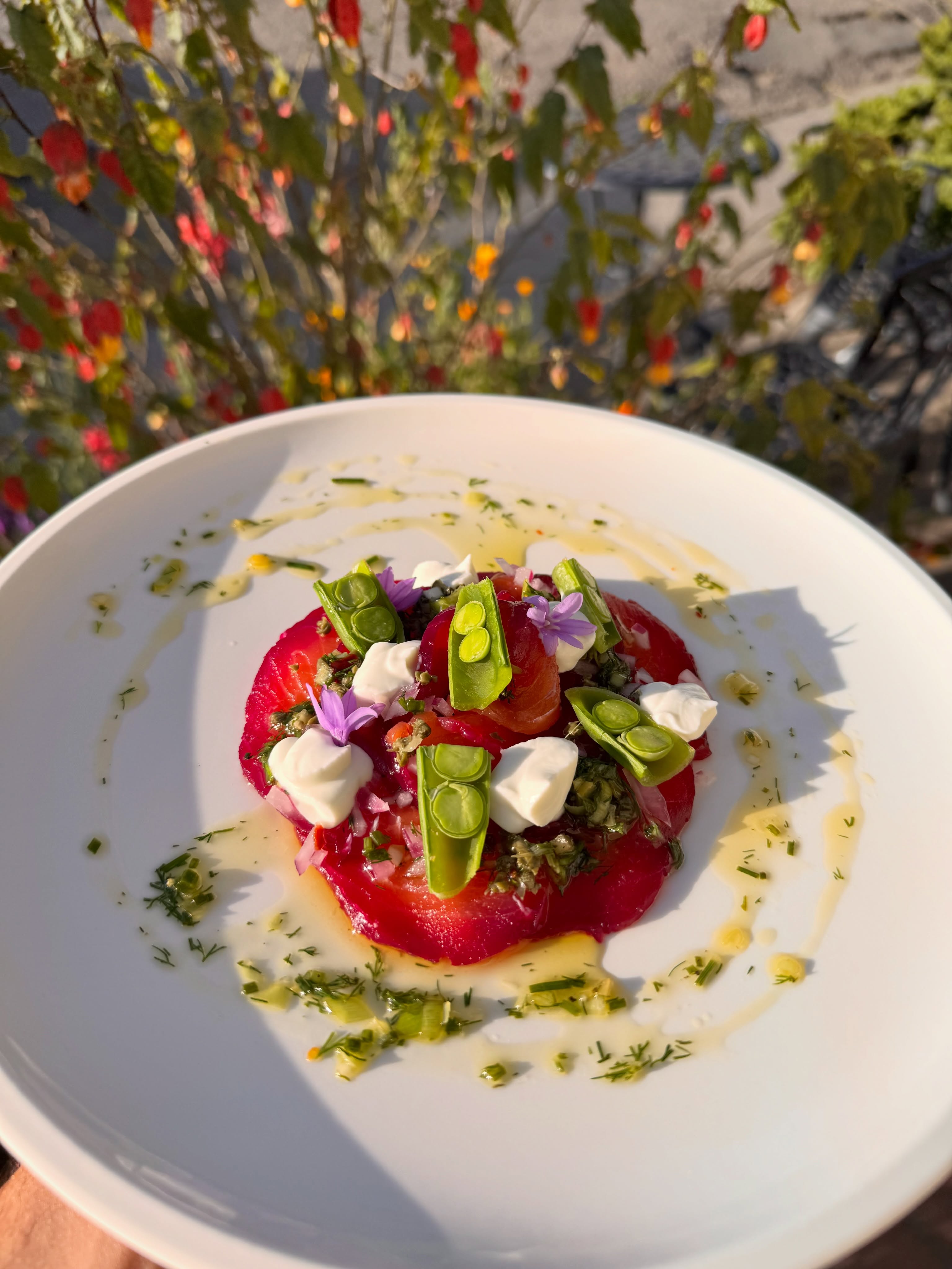 A special worth lingering over.
Beetroot-cured gravlax in the prettiest shade of summer, bright with fresh flavors and only here for a little while.
It won’t be around forever, but we’ll be thinking about it long after it’s gone. 🌺
#SeasonalEating #FreshFlavors #Salmon #CulinaryArt #Mendocino