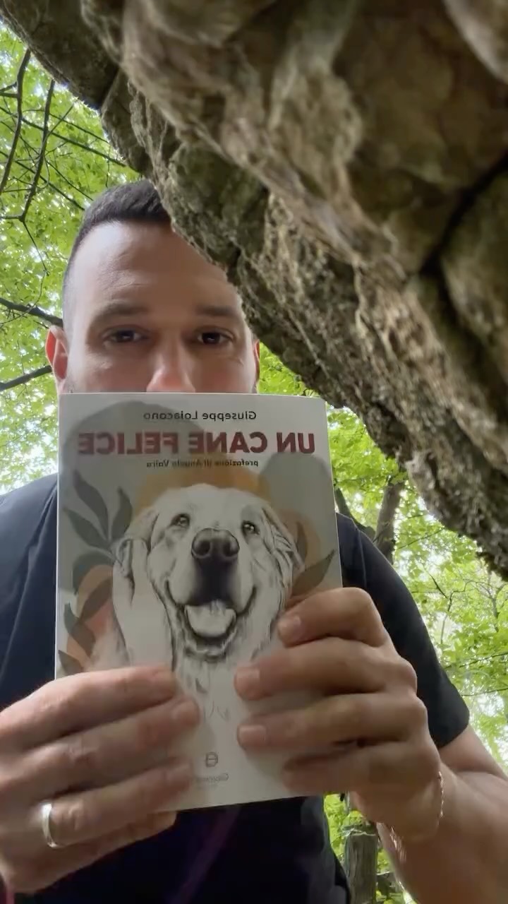 🎥 Oggi vi racconto 3 curiosità sul mio libro “Un cane felice”! 🐶📖
Un progetto nato dalla passione per il mondo cinofilo, dalla relazione autentica tra cane e famiglia e dall’idea che il benessere del cane passi anche dalla comprensione delle sue emozioni e dei suoi bisogni. ❤️
📚 Dove acquistarlo?
👉 Disponibile su Amazon e presso le principali librerie online/fisiche.
✍️ Se ami davvero i cani e vuoi capire meglio il loro mondo, questo libro fa per te!
#uncanefelice #cinofilia #canifelici #educazionecinofila #doglovers