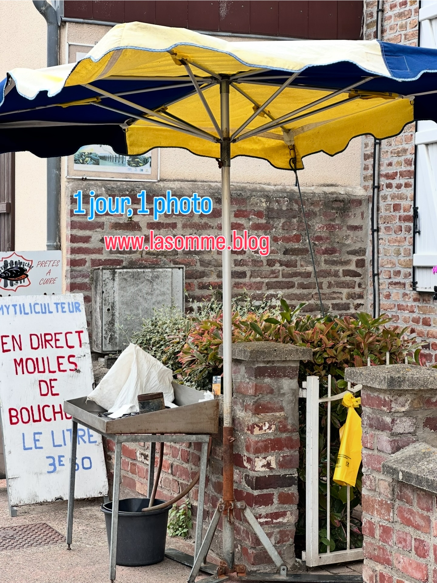 Guerlain, Colette, Lautrec, Boudin. Découvrez quelques amoureux du Crotoy sur www.lasomme.blog. Mais n’oublions pas que le Crotoy est un village de pêcheurs et de mytiliculteurs 🦋