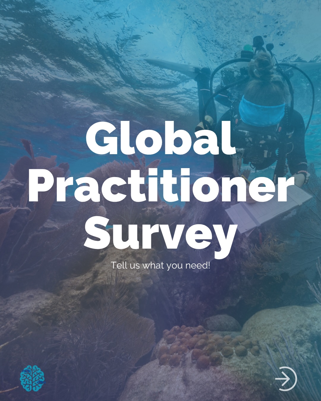 RUN, don’t walk! The CRC’s Global Practitioner Survey is still open and we want to hear from YOU!
It only takes 10 minutes and your responses directly shape the resources and support the CRC provides to practitioners worldwide.
We heard practitioners loud and clear after our first survey and now we want to know what you’re hoping for next!
Fill out the survey today at the link 🔗 in our bio! Don’t wait!
#CoralRestoration #ReefFutures #CoralReefs #OceanConservation