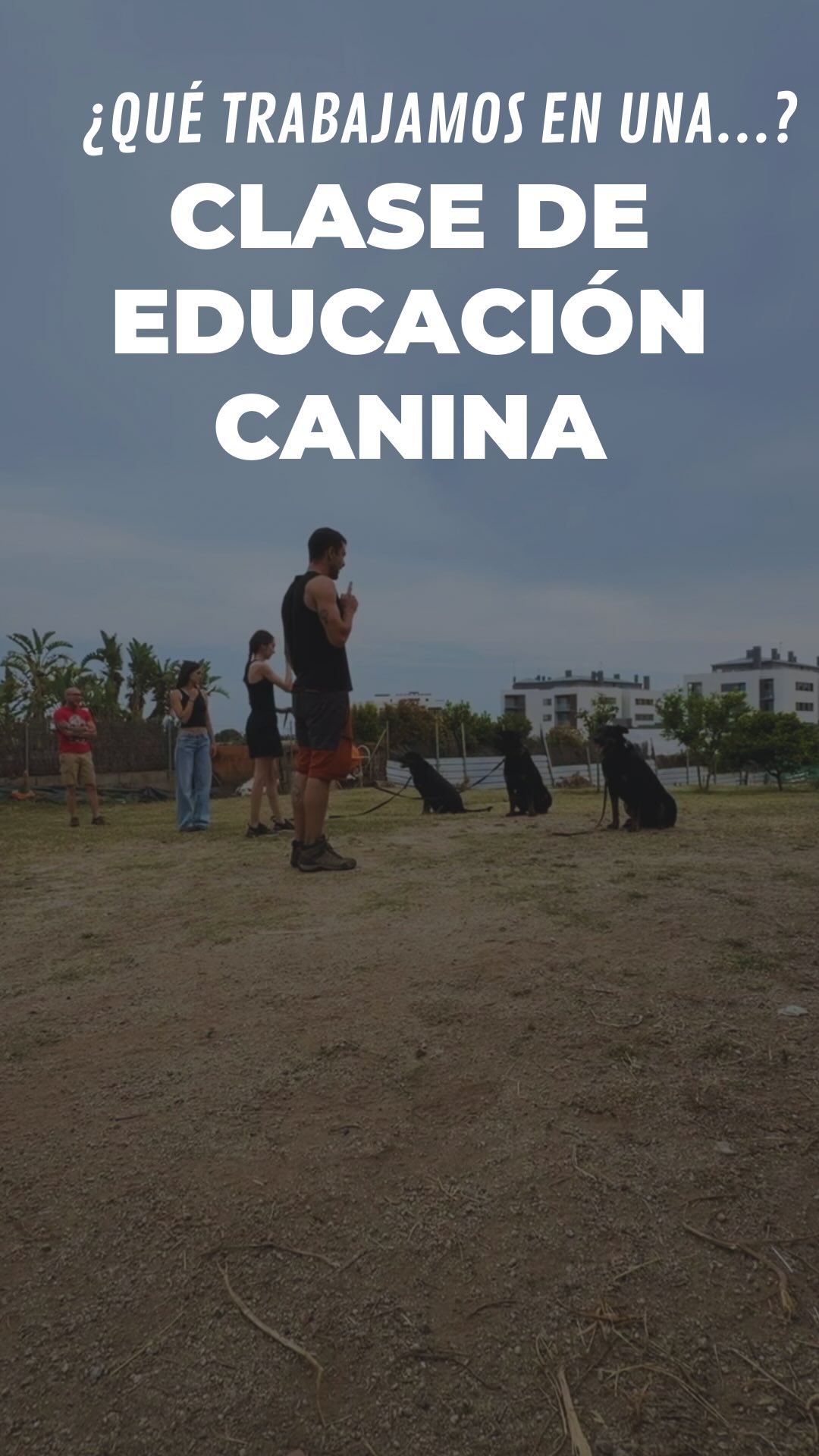 ¿Os acordáis de Duke? ¿El cachorro de Rottweiler que subimos hace dos días? Pues hoy os mostramos cómo es una clase de repaso con él ahora que es adulto.👑
Junto a Robert con Kiara y Marta con Rotti, nos enfocamos en trabajar el autocontrol bajo presión.
Posiciones estáticas y gestionar estímulos en su zona ciega (que es cuando le caminan dos perros justo por detrás).
Al final, cerramos con un paseo de socialización real, relajados y disfrutando en manada.
Porque la educación no es solo que te haga caso, es que sepa disfrutar de la vida de forma equilibrada.💛
¿Te animas a probar con tu perro?👇
~
#dogtraining #educacioncanina #socializacioncanina #rottweiler #beauceron