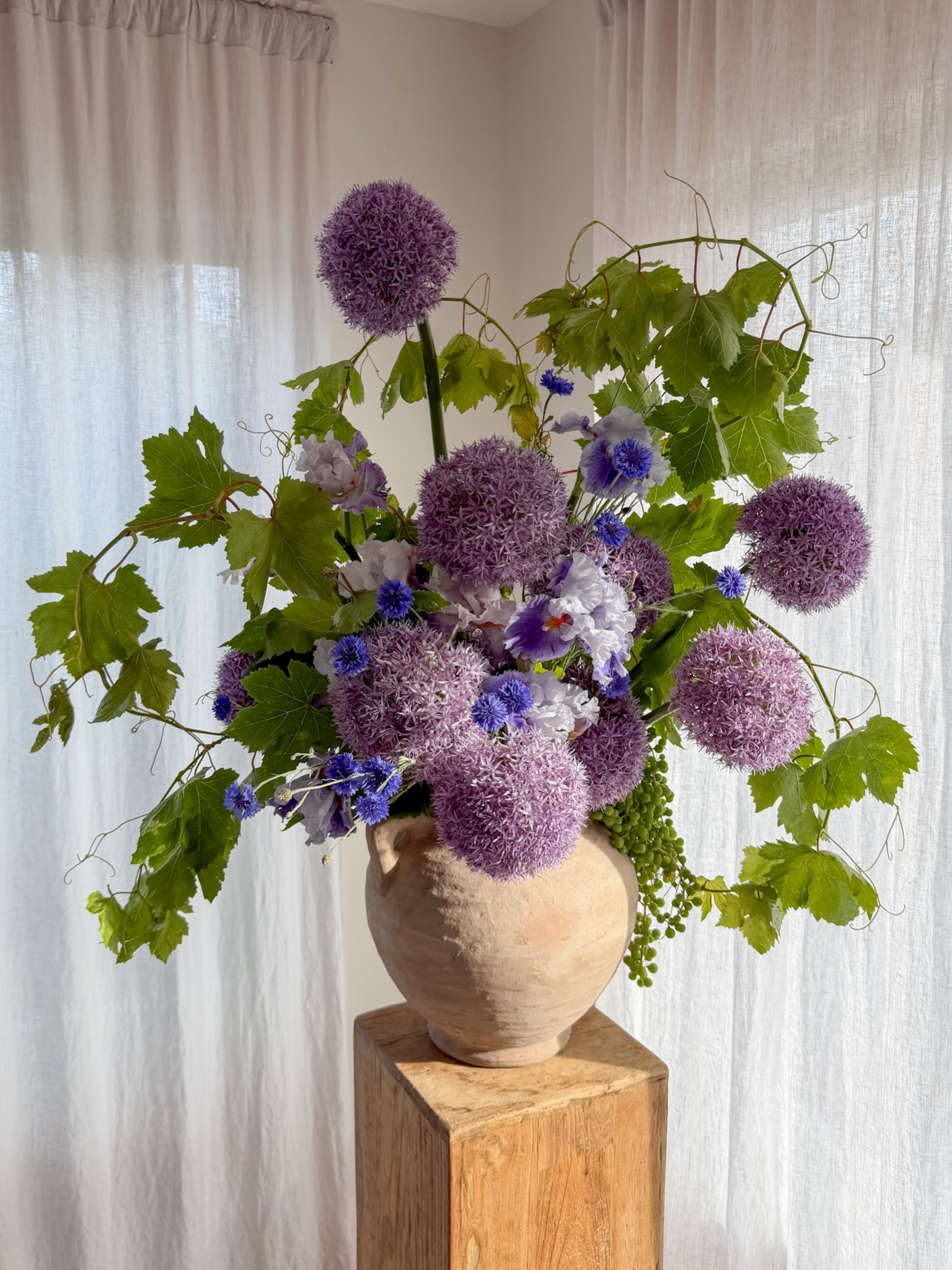 A dance of late Spring allium, garden grown cornflower, swirly grapevine, and bearded iris 🌱