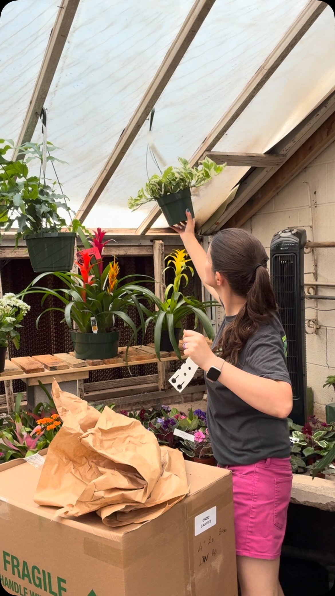 Nothing beats a stroll through Calvert’s greenhouse and a new plant baby🌱
Tag your plant buddies below and come join us today at Calvert’s
#calvertsplantinteriors