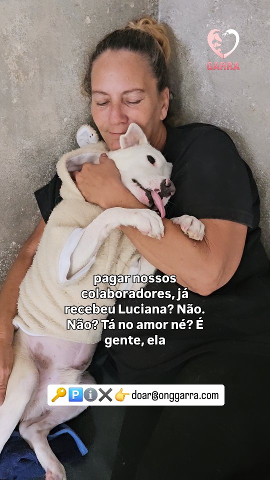 Tudo que temos é amor, nesses tempos tão difíceis é esse amor que nos faz ter forças para virmos aqui pedir à cada amigo que não soltem as patinhas dos nossos Garrinhos 🥹
Contribua com o nosso trabalho, sem a sua ajuda o nosso destino será o fim 💔
🔑 🅿️🐶✖️: doar@onggarra.com
🔑 🅿️ℹ️✖️: pixdogarra@gmail.com
🔑 🅿️ℹ️✖️: onggarra@gmail.com
#henfilgarrinho
#labugarrinha
#onggarra
#garranimal
#cachorro