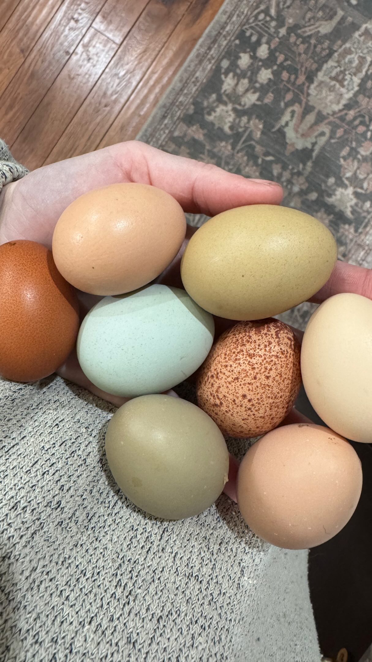 She might have been onto something 👀
The colors we bring into our homes often start outside of them,
and around our farmhouse, I realized some of my favorite colors have been sitting in the nesting boxes all along 🥚