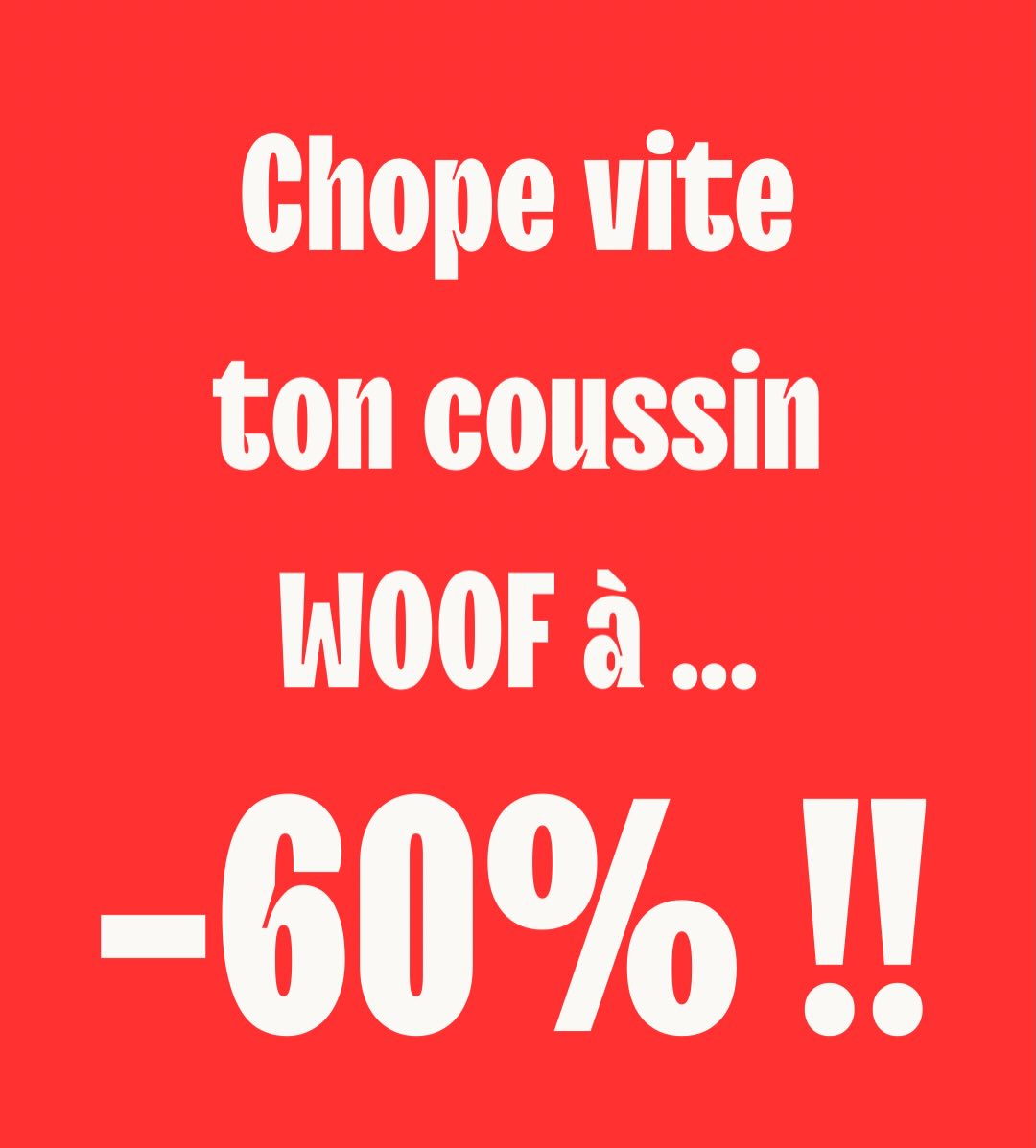Dernières pièces !!
Les coussins WOOF sont à -60% !!
Et le livraison est gratuite !
Qualité au top, entièrement déhoussable et lavable en machine.
3 tailles .
Lien en bio !
#dogapart #accessoirespourchien #coussinspourchiens