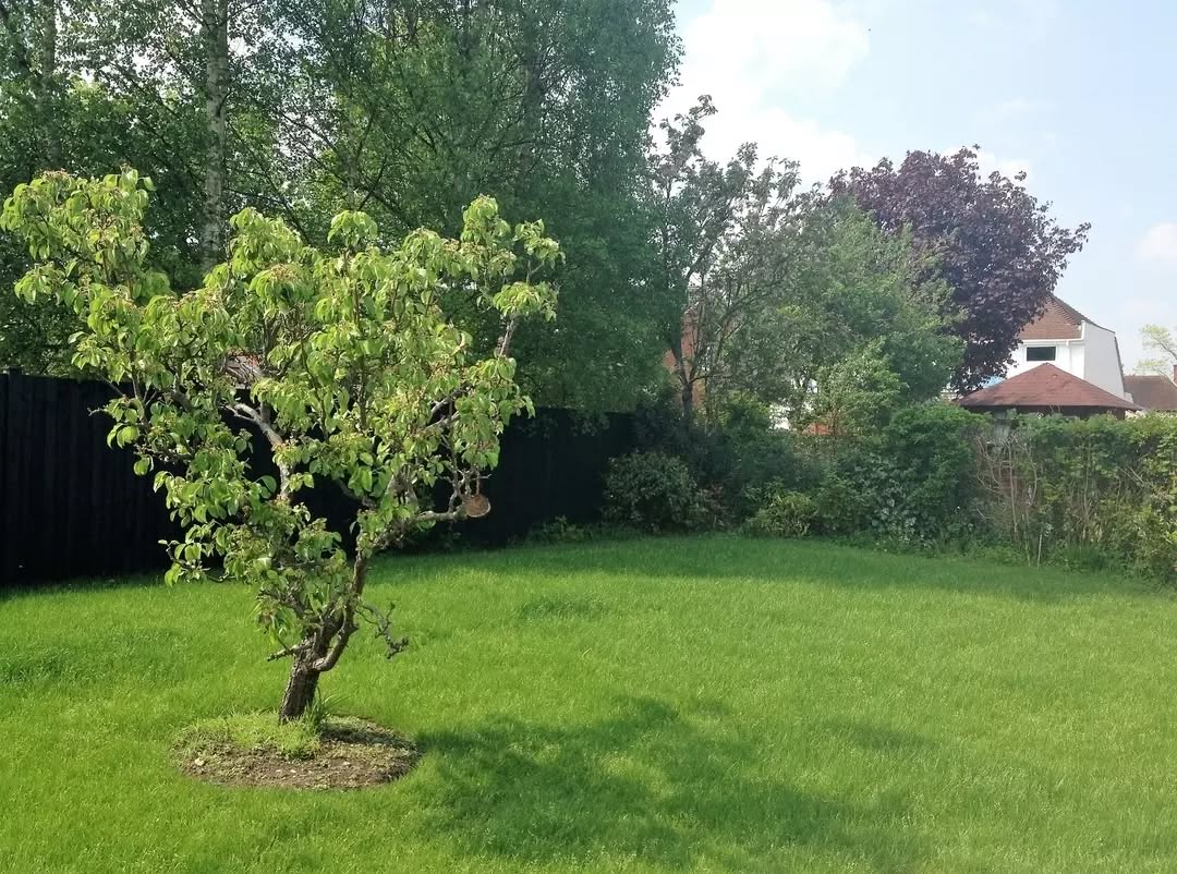 A home feels even better with a beautiful outdoor space π«
From morning coffees to summer evenings, Snug gardens are made to be enjoyed π