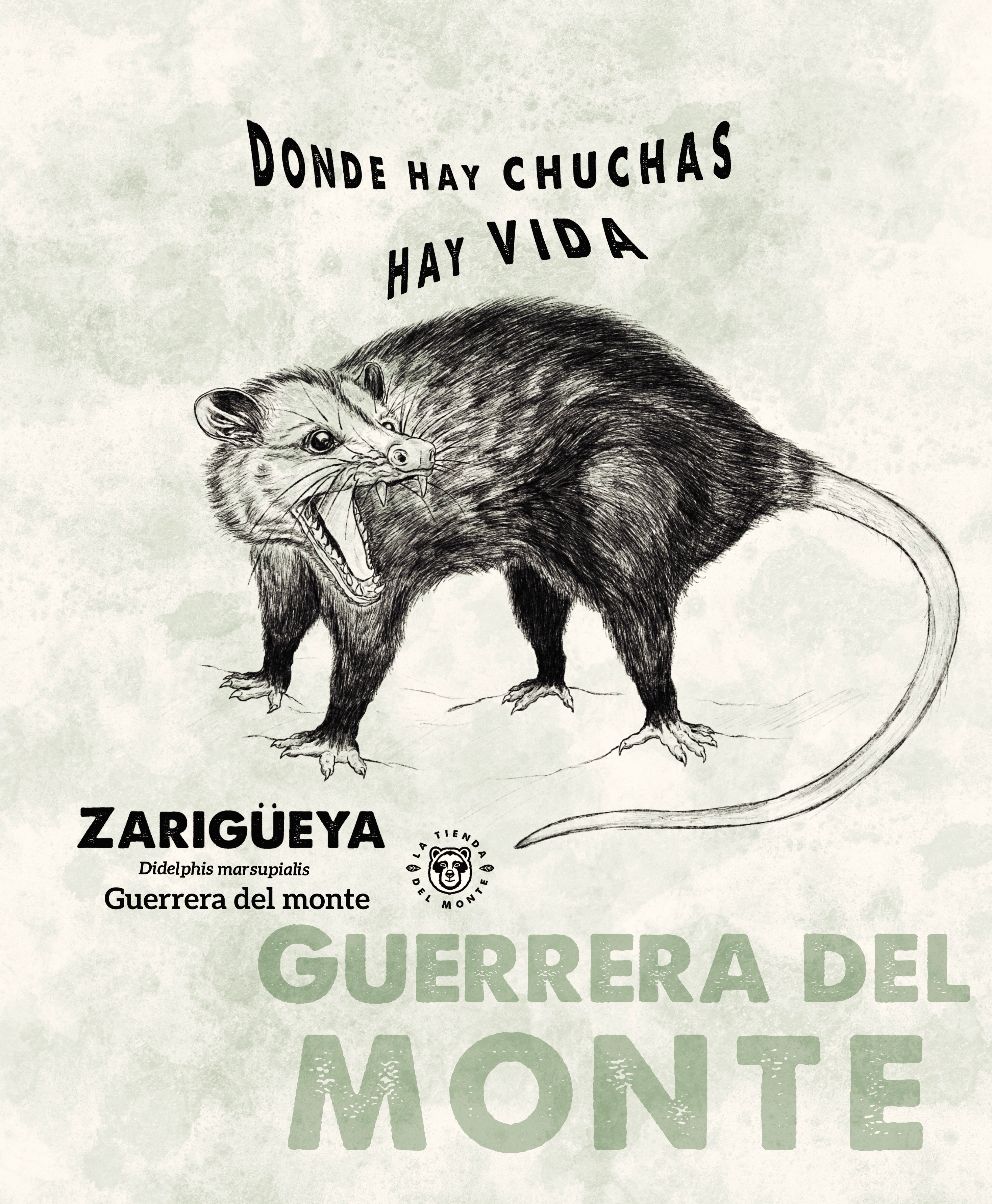 Zarigüeya, chucha, fara 🔥
Camina de noche entre las montañas, cafetales y cerca a la ciudad, sosteniendo silenciosamente el equilibrio de los ecosistemas que hacen posible la vida.
La persiguieron, la malinterpretaron y aún así, sigue aquí en pie, resistiendo.
Salvaje, rebelde y resiliente!
A veces sobrevive el que mejor se adapte. Que nunca nos falten las especies que nos recuerdan que resistir también es una forma de belleza.
Estamos felices de lanzar nuestra nueva ilustración de Didelphis marsupialis, una ilustración de nuestro amigo teso de la casa @montilloesteban gracias Parcero 🔥
Y que ya pueden encontrar en camisetas, Totebag, delantales y muchas cosas más
#biodoversidadcolombiana #latiendadelmonte #zarigueya