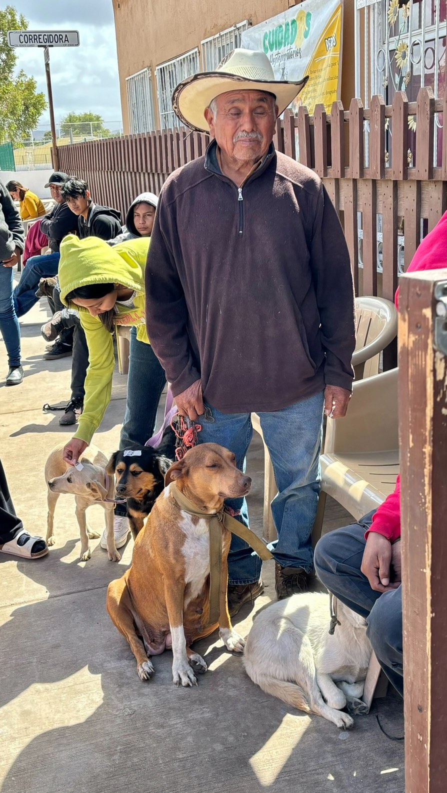 This Sunday, June 7th our @almarescue will be sponsoring our 20th Spay & Neuter Clinic in Tijuana, MX.
These sterilization campaigns are incredibly important to reduce the suffering that occurs when large litters of unexpected puppies and kittens are born, only to suffer and die on the streets of Mexico from starvation or disease...
Our Rescue is committed to doing our part to help the families of Tijuana sterilize their pets. To date we have sterilized 6000 dogs & cats, making a huge impact in the communities.
These clinics cost thousands of dollars and we are only able to put them on from donations from our supporters. Please consider just a $10 or $20 donation to help us with this important work.
www.almarescue.org or Venmo at: ALMA-Rescue. Thank you 🙏🏼
