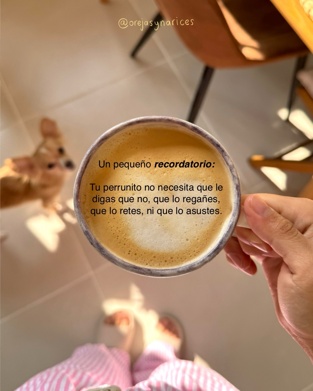 Un pequeño recordatorio para empezar el día 🥰🐶☕️
