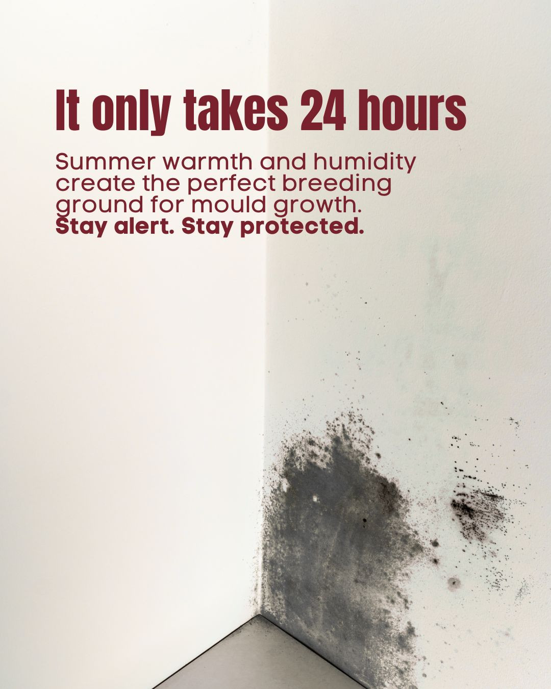 Costly issues, such as mould germination and growth, can arise within 24 hours in extremely high humidity conditions. In order to mitigate the severity of a water loss, returning the indoor environment to a normal state requires the correct mix of drying equipment, monitoring, and time.
Our team can help you. Our team will stabilize the environment in a timely manner and minimize the impact of the water loss.
~ Walton Restoration
24/7 Emergency Property Restoration
🔥 Fire 💧 Water 💨 Wind
905-725-5666
www.waltonrestoration.com