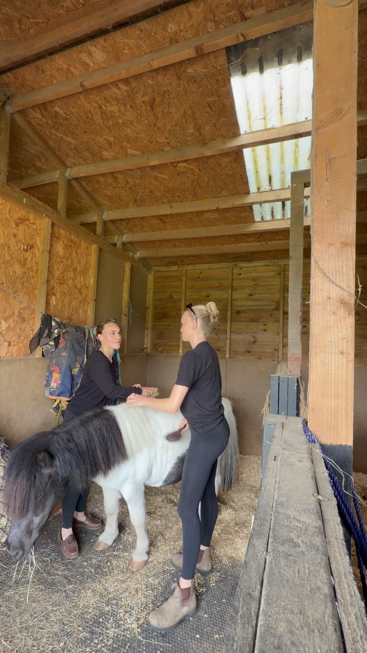 Clearly the ponies are keeping me young 👶🏼✨
@phebebekker_ thank you for helping inspire so many children 🤍