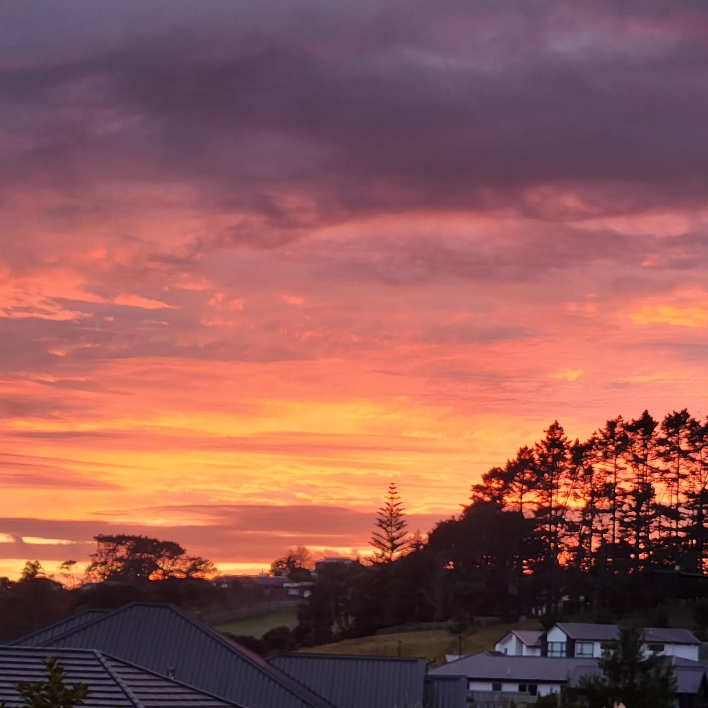 I opened my studio blind this morning to this gorgeous sunrise 🌅
We have one more day until the weekend, and I have space for one more massage tomorrow at 10.30am or 11.am. PM if you'd love to sneak a massage in before the weekend.
#waimauku #kumeu #huapai #muriwai #riverhead