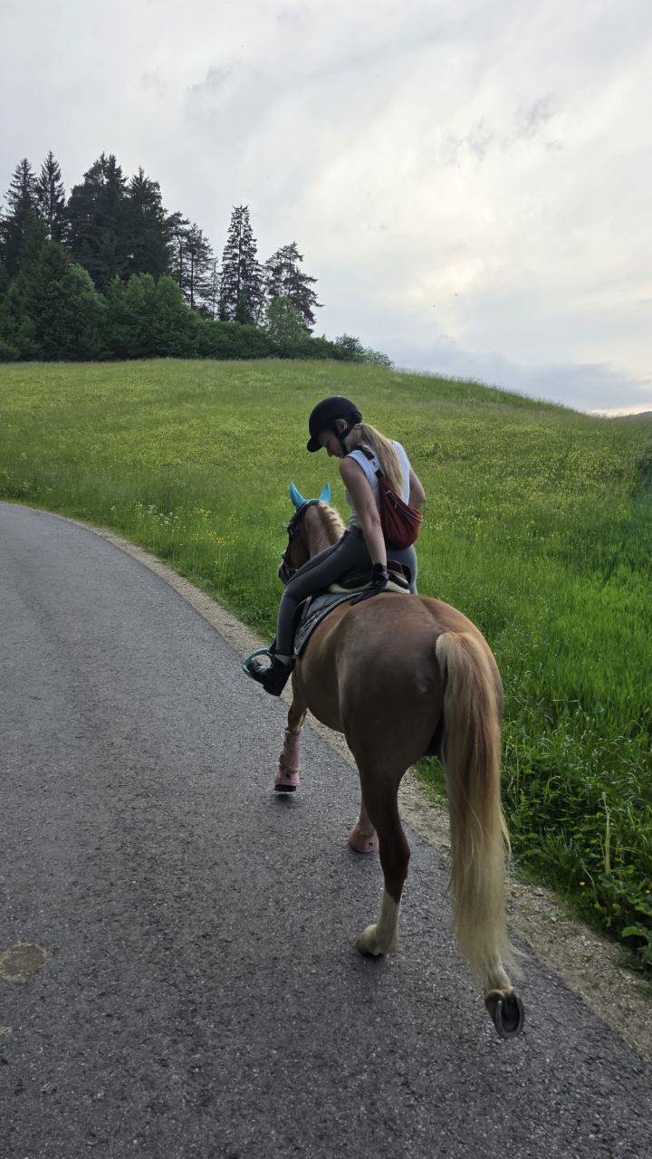 🥹🐴🌾🤎 On avait 10-11 ans.. on se baladait les bras enlacés chaque récréation en rêvant de réaliser notre rêve : monter à cheval. Nos parents avaient dit non : trop dangereux, trop cher, trop de logistique en habitant notre petit village.
La passion ne connaît pas de barrière et notre détermination de gamine, non plus. On avait un bon coup de crayon toutes les deux, on a écrit des lettres à tous les propriétaires de chevaux aux environs. Accompagnés de nos plus beaux dessins, on leur demandait l'autorisation de venir soigner leurs chevaux. On a eu des réponses négatives ou pas de réponses du tout. On a pas lâché.. On a vu cette jument un jour dans les rues du village. On a repéré la boîte, son propriétaire et la lettre fût postée.
La suite, c'est notre plus belle histoire. Elle s'appelait Fergi, on l'a surnommée Tiamo - puis Titi 🤎🐴 Après 2 semaines de visite, on faisait notre première balade. On avait réussi notre rêve 🥹🐴 On a même trouvé d'autres chevaux pour avoir chacune sa monture. Chaque semaine de nos 12 ans à nos 25 ans, c'était notre rendez-vous aux sons des sabots. De l'école obligatoire à notre maturité, des études supérieures à nos premiers bébés.
Puis, le temps a filé, les balades se sont espacées et la maternité m'a éloignée.. Titi a pris de l'âge puis un jour l'écurie était vide .. ne laissant plus que nos rires d'ado résonner sur la paille fraîche. La passion ne m'a jamais lâchée mais je la gardais enfouie en moi, comme un souvenir précieux de qui j'étais avant d'être maman. Elle, ma meilleure amie n'a jamais arrêté 💪🏻
"Tu reviendras à cheval?" ..Sans Titi, c'était plus la même chose💔
Un trek de trois jours à cheval au Maroc pour nos 30 ans ? C'était son idée et mon plus beau voyage.
C'était il y a 7 ans déjà. Comment j'ai pu enfouir cette partie de moi si loin dans mon âme? Puis, elle me dit : "Balade mardi soir ? J'ai une jument incroyable pour toi "
Bref, je suis remontée à cheval. On est reparti en balade les deux, au son des sabots, on avait à nouveau 15 ans .. mais avec cette fois chacune une merveilleuse famille à la maison 🤎🐴 #mercilavie
#affaireàsuivre