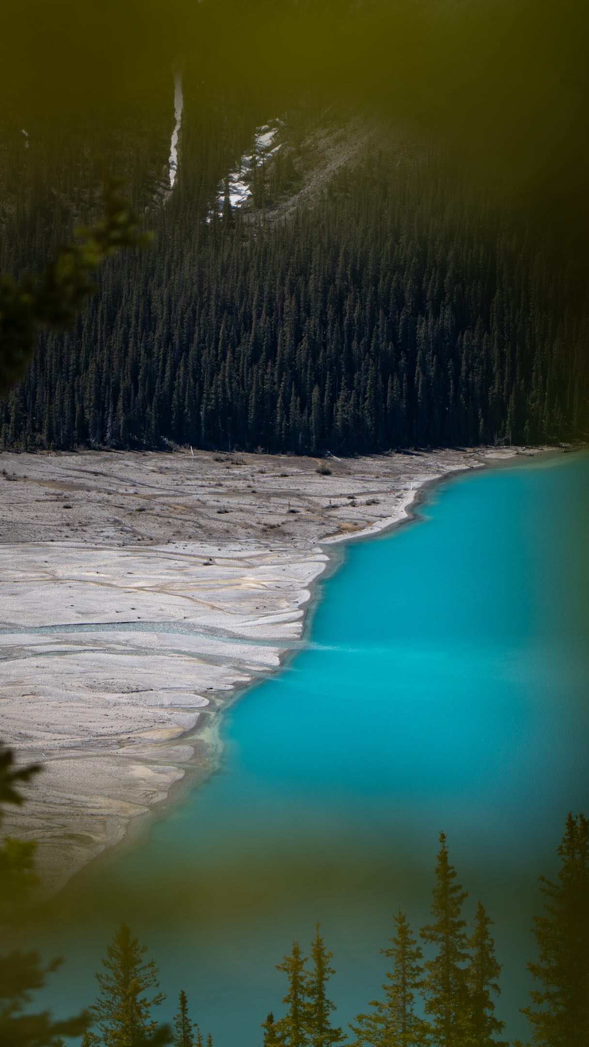 170 meters can be the difference between summer and winter in the Rockies. 👀
On June 3rd, I visited three of the Rockies’ most iconic lakes:
- Lake Louise (1.731 m)
- Peyto Lake (1.860 m)
- Bow Lake (1.920 m)
All three are within a 30 minute drive of each other.
While Lake Louise and Peyto Lake were already glowing in their famous turquoise colours, Bow Lake was still partially frozen. ❄️
And I was like: whyy?! 😅
Elevation is definitely part of the answer, because higher elevations are generally colder, which means snow and ice tend to stick around longer. But Bow Lake also sits closest to Bow glacier, receives a constant supply of ice cold meltwater (also from the wapta icefield region), and holds a much larger volume of water than the other two lakes (Bow Lake = 3,2 km², Peyto = 1,4 km², Lake Louise = 0,8 km²).
Together, these factors can slow down the thaw and keep winter hanging on a little longer.
It’s definitely one of the things I love most about the Rockies: you can drive 30 minutes and feel like you’ve travelled through three different seasons. 🥰
Have you ever seen two nearby lakes look completely different at the same time? ☺️
____
#banffnationalpark #icefieldparkway #explorecanada #summerincanada #lakelouise