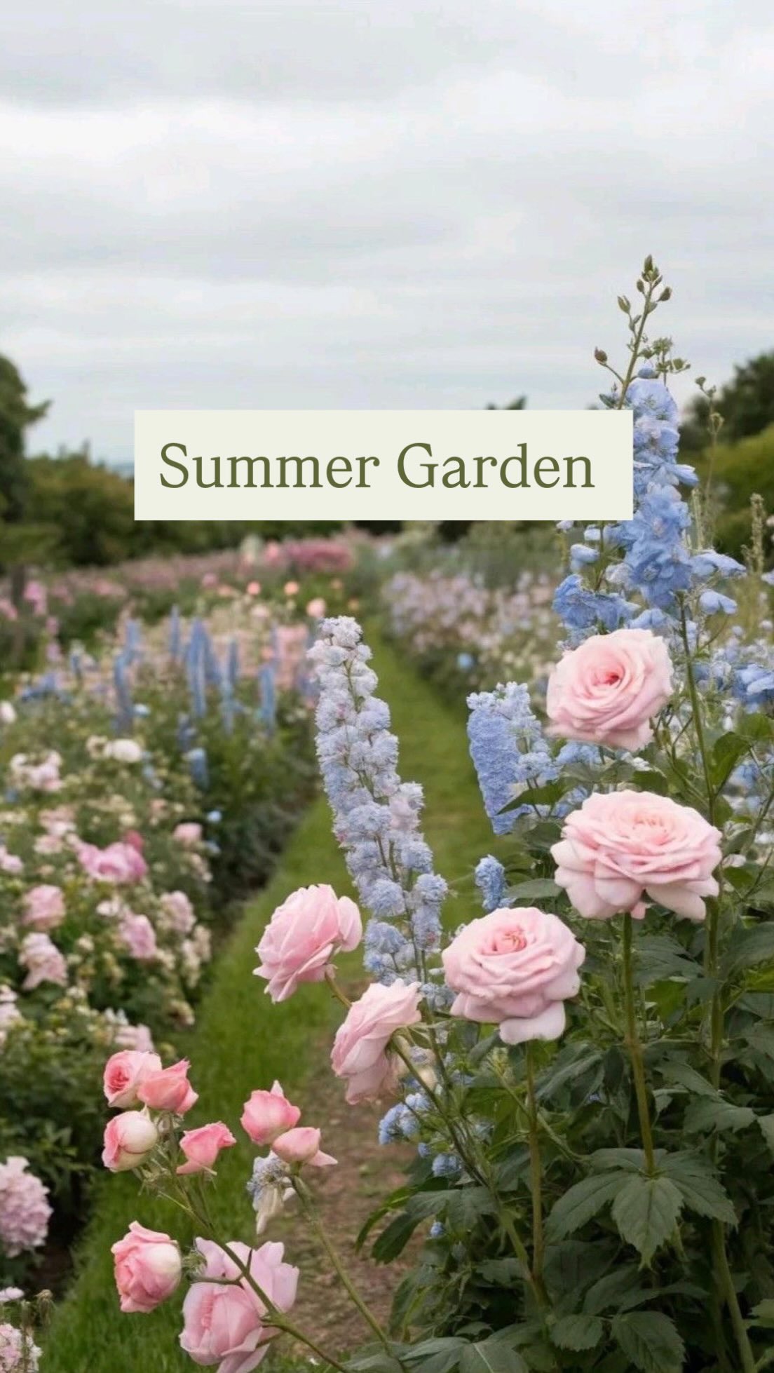 Our June special arrangement, “Summer Garden Party“ is designed with elegant garden spray roses, blue delphiniums, and a curated selection of seasonal blooms and lush greenery.
Available throughout June while the season lasts through Daily order or Subscription.
#lamaisonflowerstudio#calgaryflorist#yycflowers#flowersubscriptions#summerflowers