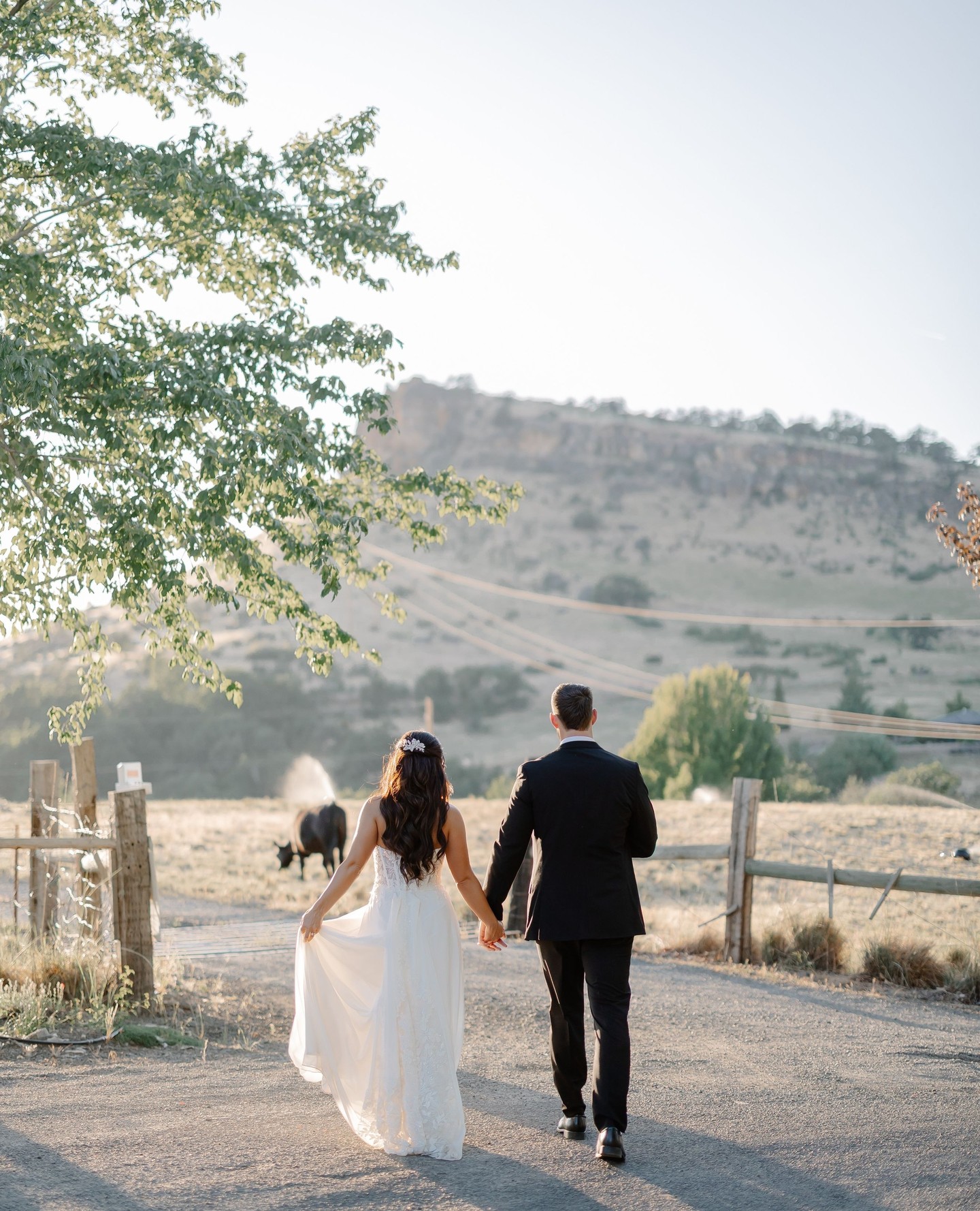 If you're dreaming of a destination wedding that combines breathtaking scenery, incredible venues, and unforgettable experiences, Southern Oregon deserves a spot at the top of your list.
From rolling vineyards and mountain views to charming small towns and stunning rivers, Southern Oregon offers an incredible variety of backdrops for your wedding day. Whether you're envisioning an elegant winery celebration, a rustic outdoor gathering, or a romantic mountain escape, there's a venue and landscape to match every couple's vision.
One of the things that makes Southern Oregon so special is that your wedding can become an entire experience for your guests. They can spend the weekend exploring local wineries, hiking beautiful trails, visiting nearby lakes, and enjoying everything this amazing region has to offer. It turns a single day into a memorable getaway for everyone involved.
As a photographer, I love weddings in Southern Oregon because the opportunities for beautiful images are endless. Golden vineyard sunsets, dramatic mountain landscapes, lush forests, and picturesque venues create the perfect setting for timeless wedding photos that truly capture the beauty of your day.
The best destination weddings aren't just about the ceremony—they're about creating an experience that you and your guests will remember forever. Southern Oregon offers the perfect combination of natural beauty, adventure, and romance to make that happen.
If you're searching for a wedding destination that feels both breathtaking and welcoming, Southern Oregon might just be the perfect place to say "I do."
#medfordweddings #oregonphotographer #weddingphotographer #southernoregon #oregonwedding #pnwwedding #southernoregon #oregoncoast #elopeinoregon #oregonweddingphotographer #oregonweddingideas #southernoregonphotography #roguevalleyphotographers #medfordoregonweddingphotography #grantspassweddings #ashlandweddings #ashlandweddingphotographer #portlandweddingphotographer #professionalphotographermedford #ashlandweddingplanner #ashlandweddingflorist #medfordweddingplanner #grantspassweddingplanner #medfordweddingflorist #medfordweddingvenues #ashlandweddingvenues #grantspassweddingvenues