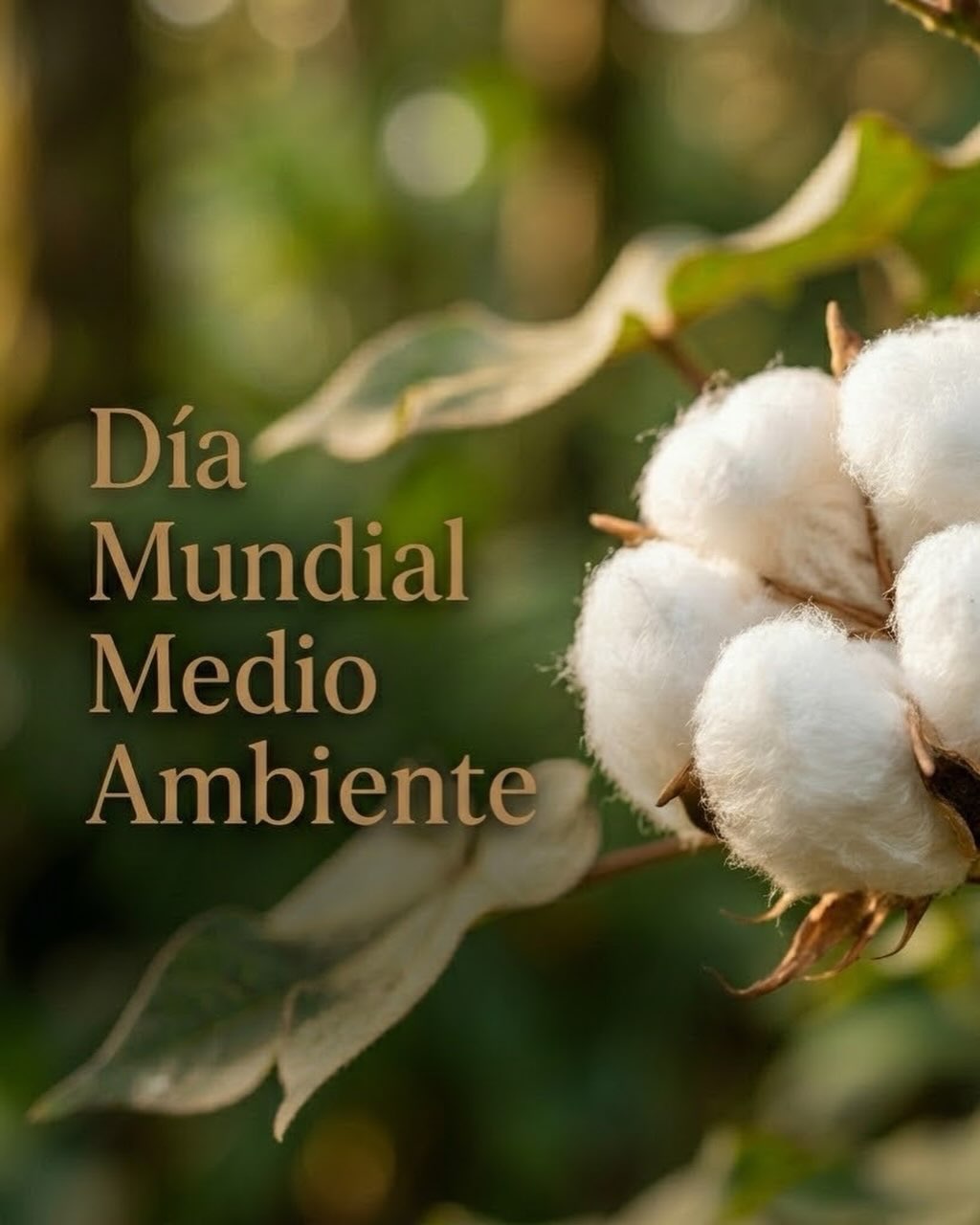 La tierra nos enseñó antes de que empezáramos a diseñar.
En Eve Valverde Atelier, el respeto por el ambiente no es un valor agregado — es el punto de partida. Cada pieza nace de una decisión: materiales que importan, procesos que no comprometen, diseño que dura.
Hoy y siempre. 🌿
#DiaMundialDelAmbiente #WorldEnvironmentDay #EveValverdeAtelier #ModaSostenible #LujoConsciente SlowFashion CostaRica