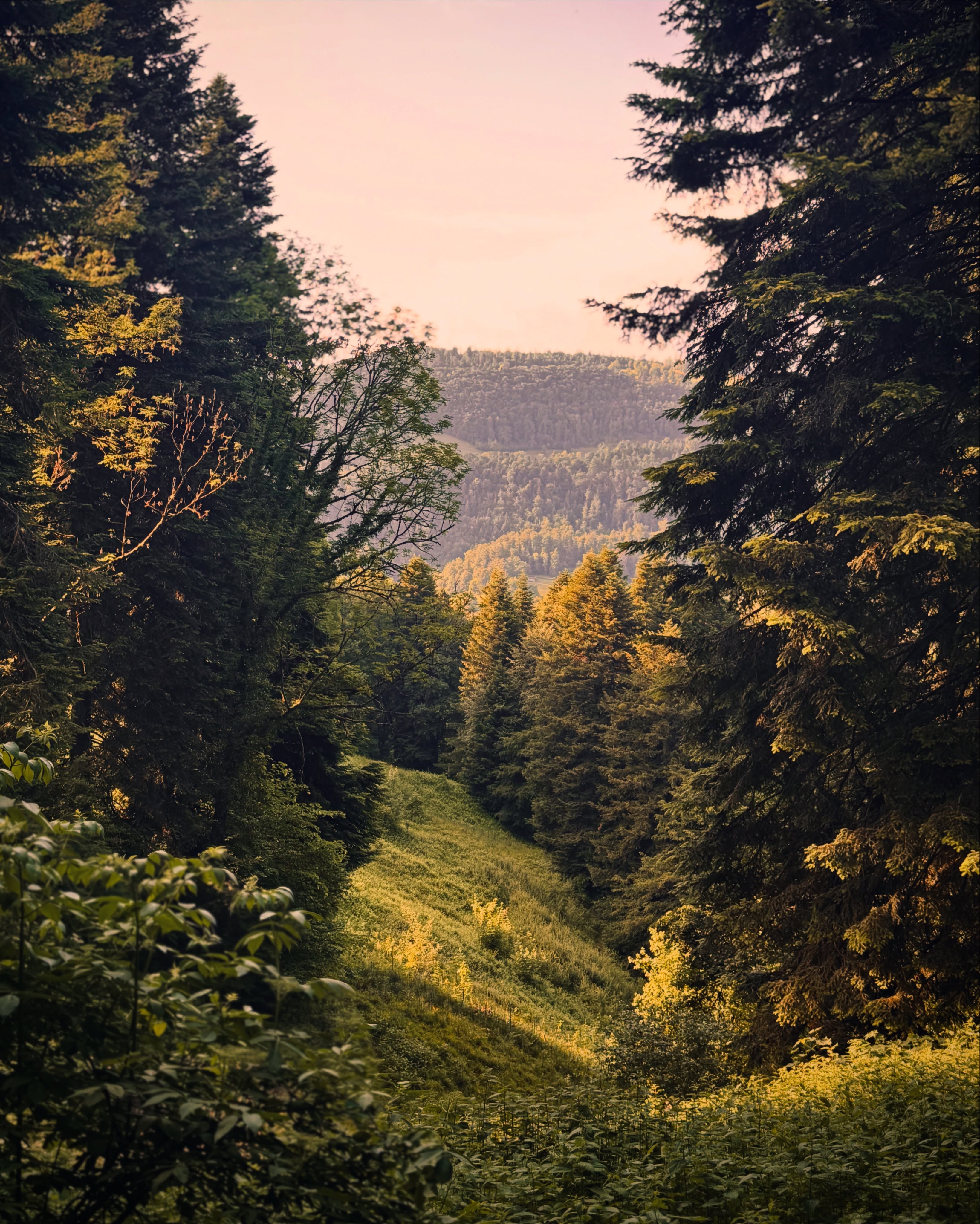 Kinda in the middle of nowhere in Switzerland 🌿