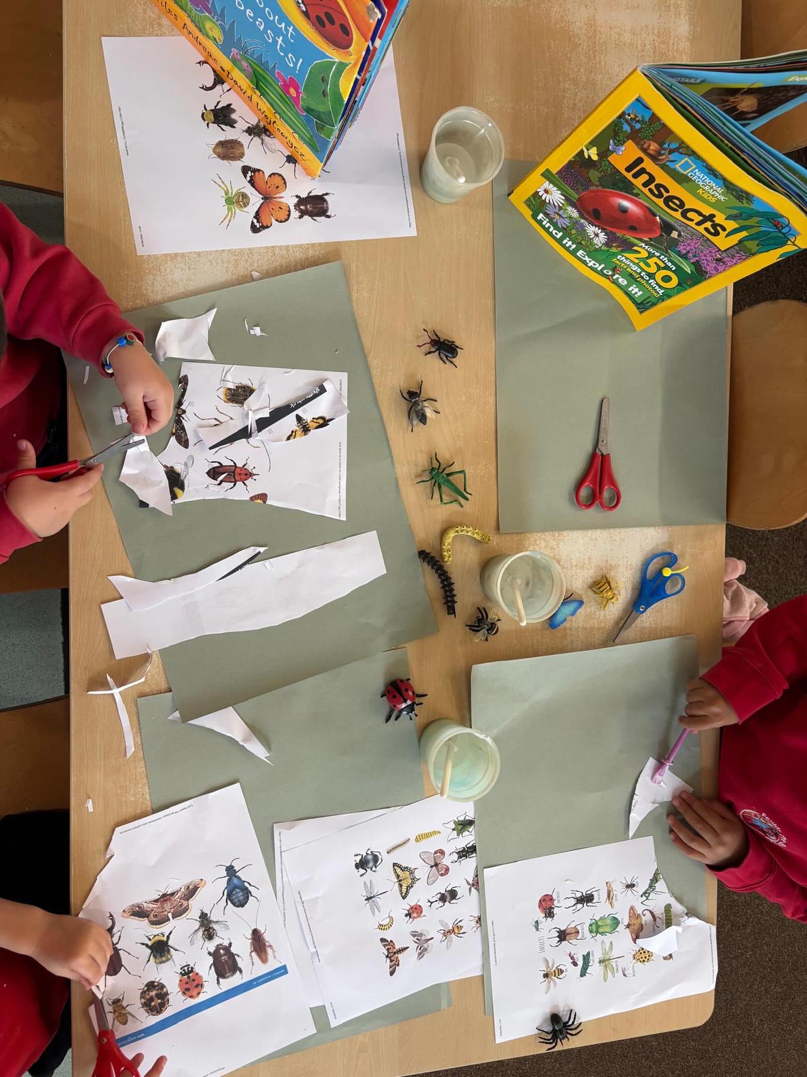Scissor control is a crucial skill at this age and our insect theme provided the perfect opportunity to practise.
Cutting, snipping and carefully following lines... the concentration on their little faces was something else. However we regret to share that not all bugs survived the skills test!