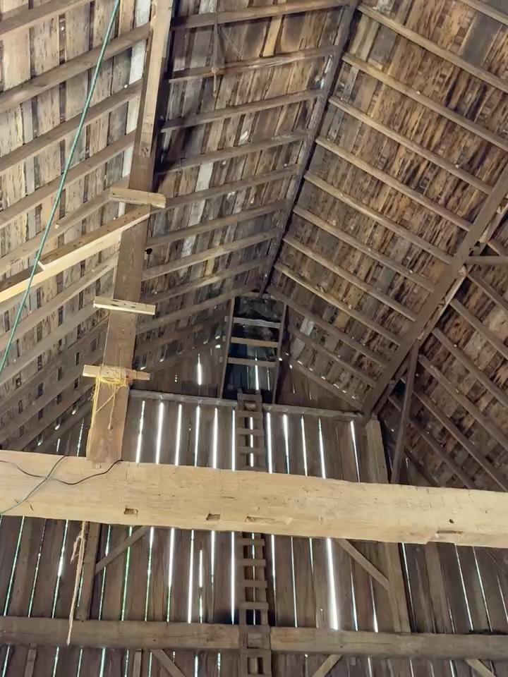 With temps rising this week, we aren’t the only ones at the field center trying to beat the heat. Check out our slithering serpents and furry friend, that have found home in the Old Shaker Barn.