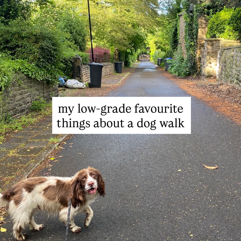 hereβs my low-grade favourite things about a dog walk - youβre go next xxxx
P.S the last one is a deffo favourite π
#dogsofinstagram #dogwalkersofig #dogslife