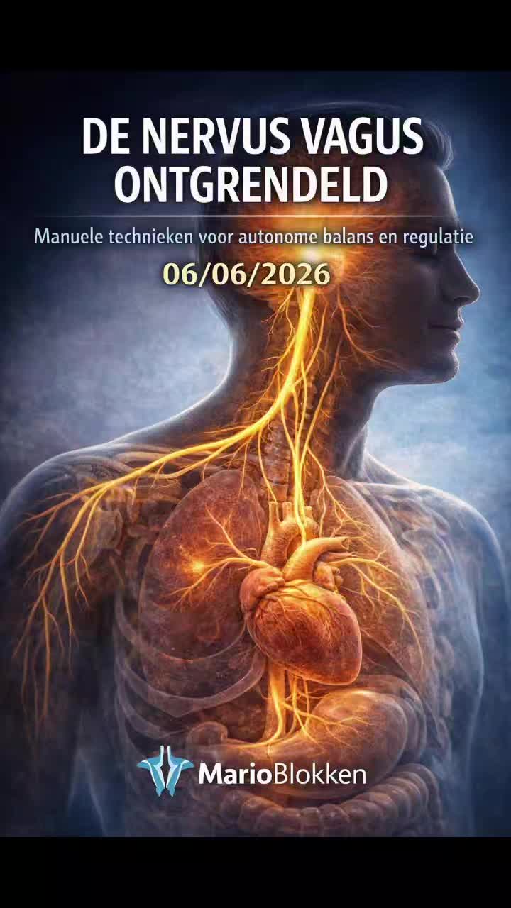 We gaan nog eens bijstuderen bij een top Docent @marioblokken #innerflowbyyouri #balance #relaxing #balanced