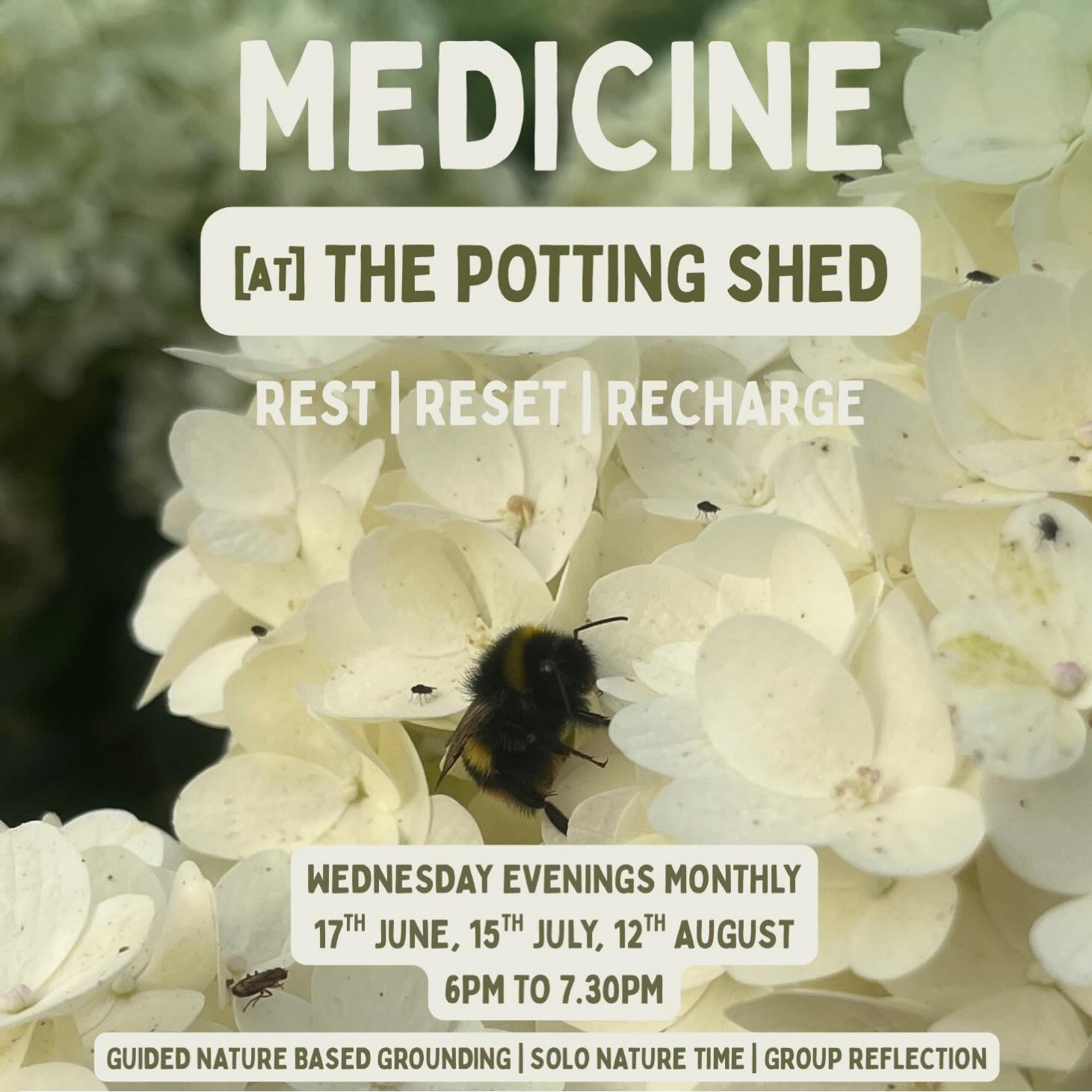 medicine
of the slow
of the peaceful
of the natural kind
r e s t
r e s e t
r e c h a r g e
support & steady yourself
through these busy summer months
in amongst the beauty, abundance & sanctuary
of @therealflowerco_wholesale farm
often we know what we need
and it’s hard to make the time to honour it
especially at this mid point of the year
when energy can feel at its peak
in a world that demands so much of us
how might it feel
to come and be
with simplicity
with some stillness
a time ring fenced
a small slice of your week
to give back to yourself, each other & this place
as it in turn offers back to you
in amongst all of this worlds current craziness
come and remember what you’re part of
your body, breathing
on this land
with all that you’re with
wholely welcome
what to expect?
some guided nature based grounding
some solo time
and some time to reflect
to share with others should you feel to
and if you’ve always wondered
what it is exactly that i get up to & offer
then this is also a good opportunity
to find out a little bit more
*wednesday evenings*
@ the potting shed
17th june
15th july
12th august
6pm to 7.30pm
anyone over 18 welcome
suggested donation £10-£20
please DM to book
#nature #natureconnection #ecotherapy #ecopsychology #hampshire