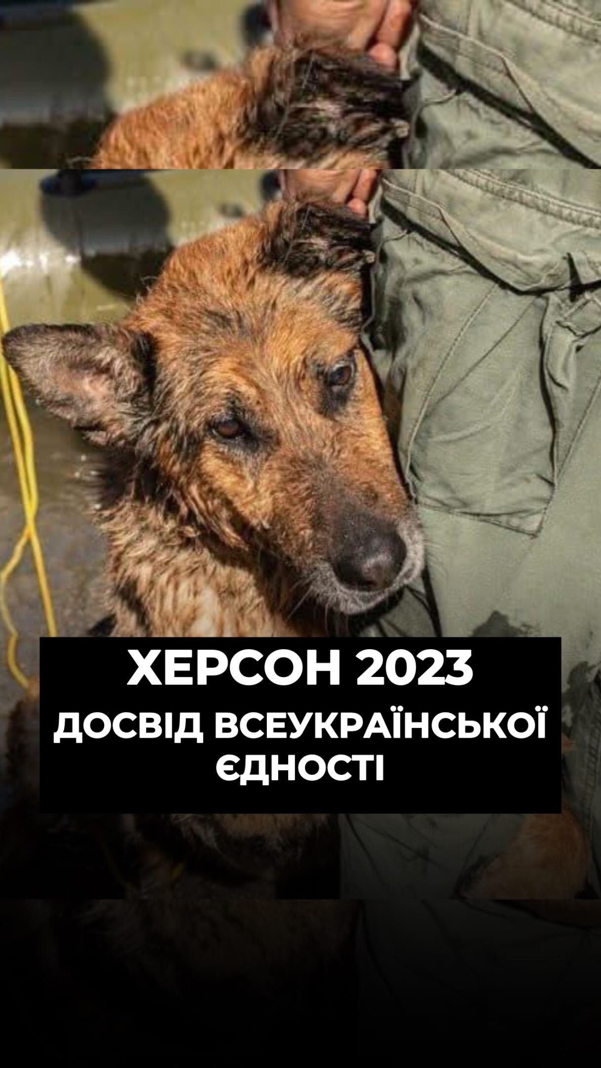 Херсон 6.06.2023. Три роки тому р*сіяни підірвали дамбу Каховської ГЕС (⬇️ENG)
Сотні живих створінь і все місто опинилися буквально під водою.
Херсон став досвідом Всеукраїнської Єдності в умовах повної невизначеності, коли все місто затоплене водою. Коли сотні українців обʼєдналися заради спільної мети – допомогти і врятувати. Так були врятовані сотні життів
Про порятунок на воді з перших вуст від рятувальників Лали Тарапакіної @12_guards , Руслана Горбаля @animal.rescue.kharkiv та волонтера Степана Ципʼящука.
Підтримати проєкт ARK можна за посиланням у біо чи в коментарях 👉
Kherson, June 6, 2023. Three years ago, Russian forces blew up the dam of the Kakhovka Hydroelectric Power Plant.
Hundreds of living beings — and the entire city — were suddenly submerged under water.
Kherson became a powerful example of nationwide unity in the face of complete uncertainty, when an entire city was flooded. Hundreds of Ukrainians came together around a common goal: to help and to save. Together, they saved hundreds of lives.
Hear firsthand accounts of the water rescue efforts from rescuers Lala Tarapakina (@12_guards), Ruslan Horbal (@animal.rescue.kharkiv), and volunteer Stepan Tsypiashchuk.
You can support ARK’s work via the link in our bio or in the comments 👉