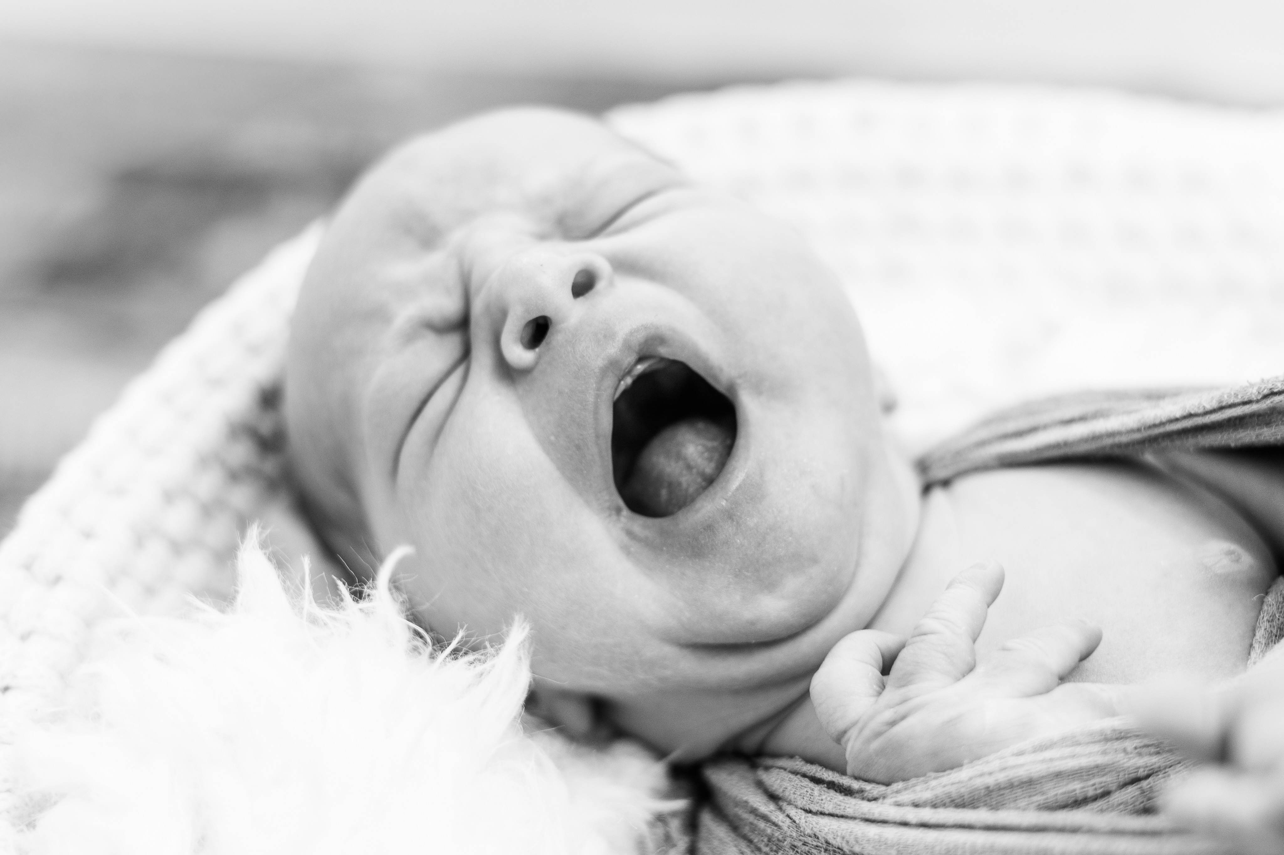 Müder Schatz 🩵
So viele kleine Wunder habe ich euch noch gar nicht gezeigt 🩵
#juliaknoerzerfotografie #babyboy #newbornfotografie #newborn #baby