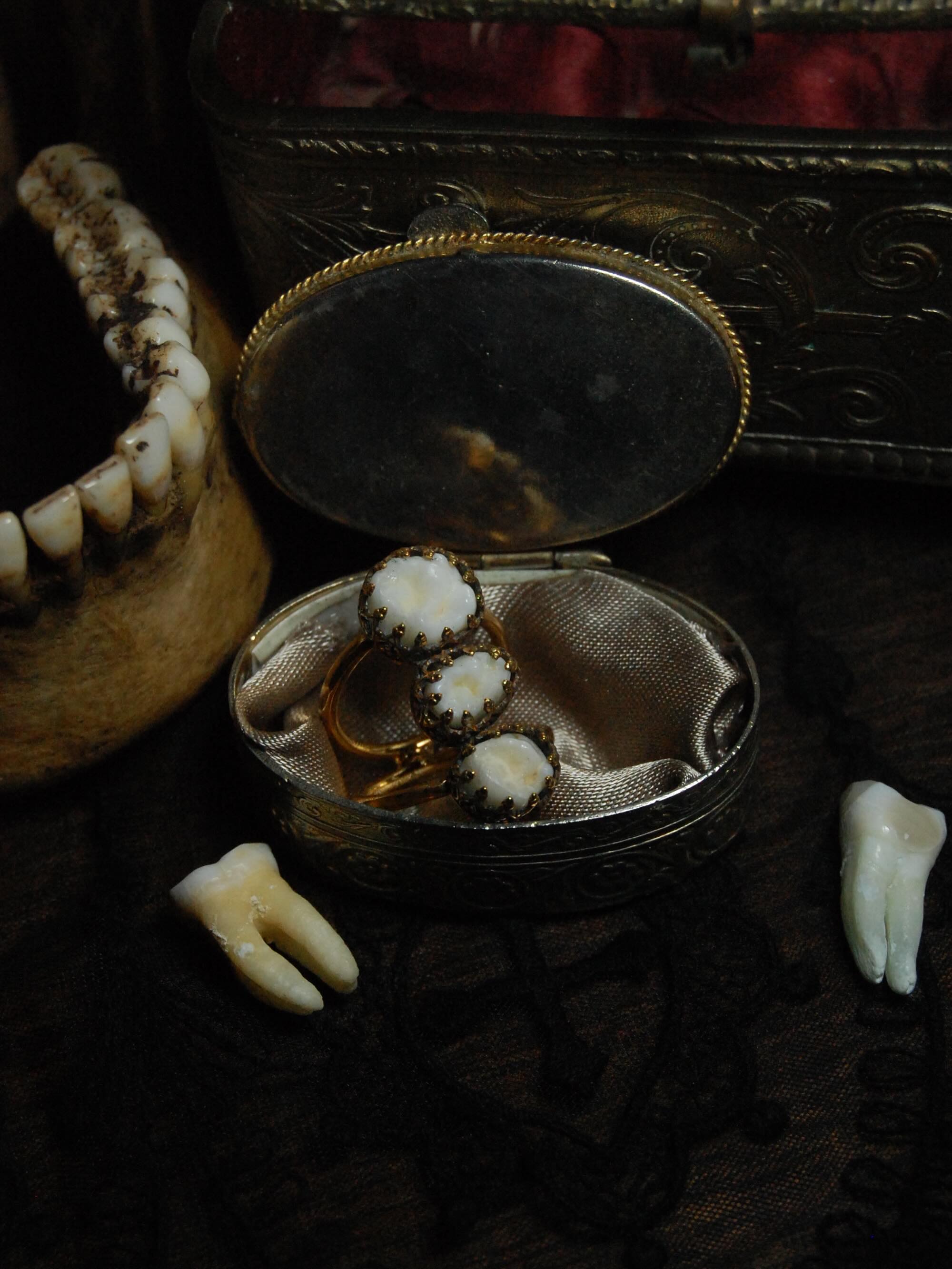 𝕳𝖚𝖒𝖆𝖓 𝕸𝖊𝖒𝖔𝖗𝖎𝖆𝖑
Réalisation sur mesure d’une bague avec les molaires du partenaire de @caradaeus_tentakel 🦷🖤
Entièrement fabriquée à la main en laiton dans mon atelier de bijouterie puis plaquée en or 24k
Si tu veux qu’on crée ensemble le bijoux de tes rêves pour garder un souvenir éternel de ton proche à la hauteur de ton amour pour lui, tu peux m’envoyer un message privé ou me contacter via mon site (lien dans la bio)💌
Bijoux mémoriaux victoriens, souvenirs, commémoratif, dents de sagesse