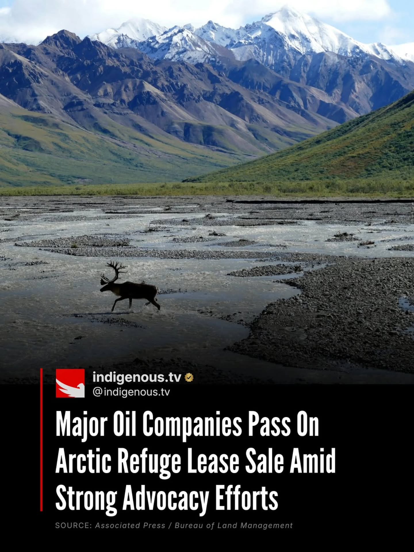 Repost @indigenous.tv
Arctic Refuge lease sale draws limited interest from major oil companies.
Major oil companies largely stayed away from a June 5 oil and gas lease sale in Alaska's Arctic National Wildlife Refuge (ANWR), marking another setback for efforts to expand drilling in one of the world's most ecologically significant landscapes.
The Bureau of Land Management offered nearly 700,000 acres of the Arctic Refuge's Coastal Plain for leasing. Only five tracts received bids.
The two bidders were the Alaska Industrial Development and Export Authority (AIDEA) — a state-owned corporation that already holds Refuge leases — and Hex Energy LLC, a small independent energy company. Total winning bids reached just $3.74 million.
For decades, Gwich'in leaders have opposed oil and gas development in the Coastal Plain, which serves as the primary calving grounds of the Porcupine caribou herd and holds deep cultural, spiritual, and subsistence significance for Gwich'in communities.
"Yet again, no major oil and gas companies showed up to bid," said Kristen Moreland, Executive Director of the Gwich'in Steering Committee. "They know that drilling in the Arctic Refuge is a losing proposition."
The outcome follows years of advocacy from #Indigenous leaders, environmental organizations, and supporters across North America.
Not all Indigenous communities in the region share the same position. Some Iñupiat leaders from Kaktovik, the only village within the Refuge's Coastal Plain, have supported development as an exercise of local self-determination.
While advocates are celebrating the limited industry interest, the fight is far from over. Earthjustice says leases resulting from the sale remain subject to ongoing legal challenges.
"Even though we saw minimal bids, we will not rest until this sacred place is permanently protected for our children and for generations yet to come," said Karlas Norman, First Chief of the Venetie Village Council.
—
Source: Bureau of Land Management, Associated Press, Gwich'in Steering Committee, Earthjustice
#Justice | #Alaska