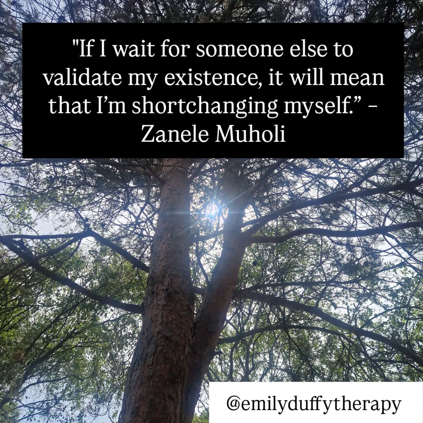 You already exist and you matter π
"If I wait for someone else to validate my existence, it will mean that Iβm shortchanging myself.β β Zanele Muholi
Yes, it can be comforting and reassuring to jave validation from external sources. You don't need to stop accepting or that in.
But you are valid regardless of that! You don't need that external validation in order for it to be valid.
If you find that you're constantly needing that external validation, therapy might be helpful.
Be you π³οΈβππ³οΈββ§οΈ
#pride #therapist #counselling #emilyduffytherapy #quote