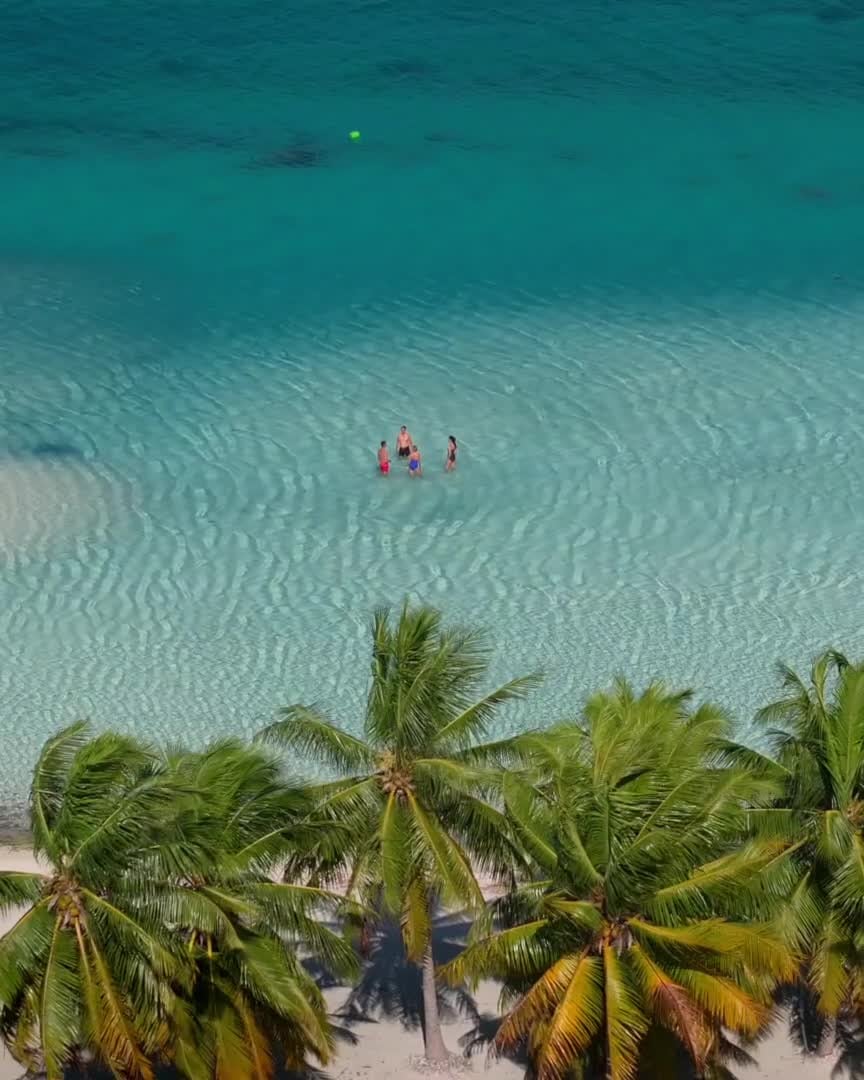 🌏 Did you know you can sail aboard the beloved m/s Paul Gauguin beyond French Polynesia? ✨
The 2027 Boutique Collection includes unforgettable voyages to Fiji, Indonesia, and Australia, offering new horizons, cultures, and experiences to explore. 🚢🌴
👉 Contact me today to book your next unforgettable journey!