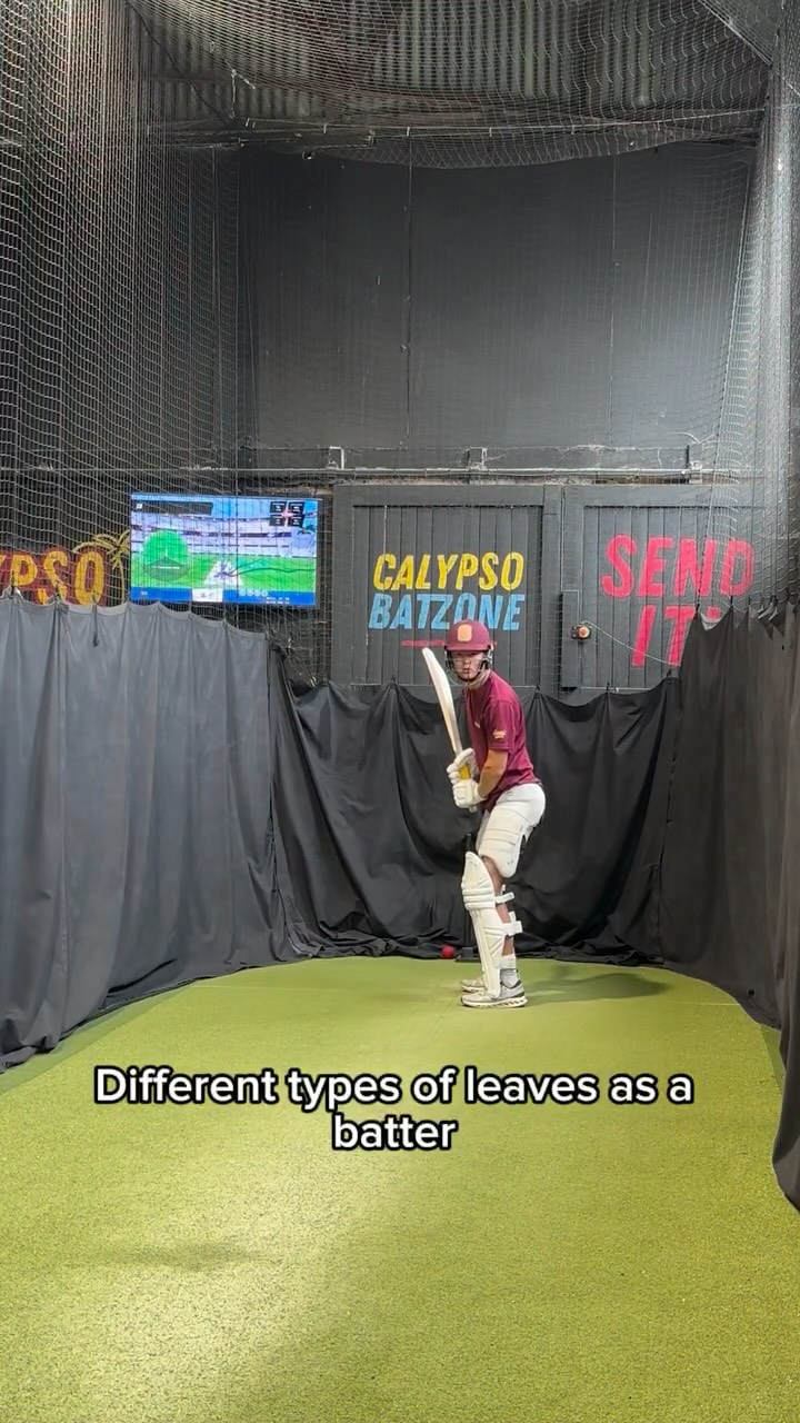 Which one do you fall under?ππ#cricket #calypso