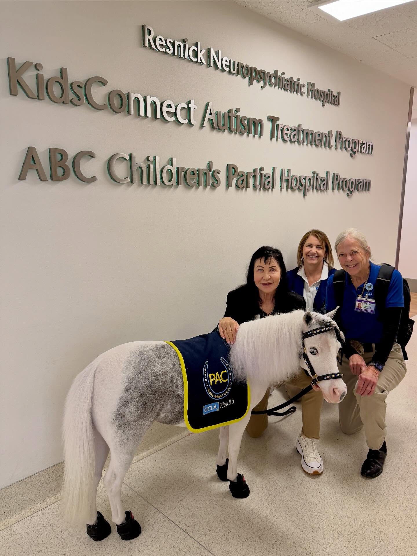 Our visits in the Resnick Neuropsychiatric Hospital/Kids Connect Autism Treatment Program have been very beneficial for the children. We love helping to create positive interactions with the kids and our mini therapy horses. @ucla_pac @cedarssinai @shrinerssocal @washingtonpost @calebwsimpson @tarastrong @greaterlosangelesva #hospital #autism #children #kids #compassion #love #hope #healing #support #medical #horse #minitherapyhorses #nonprofit #volunteer