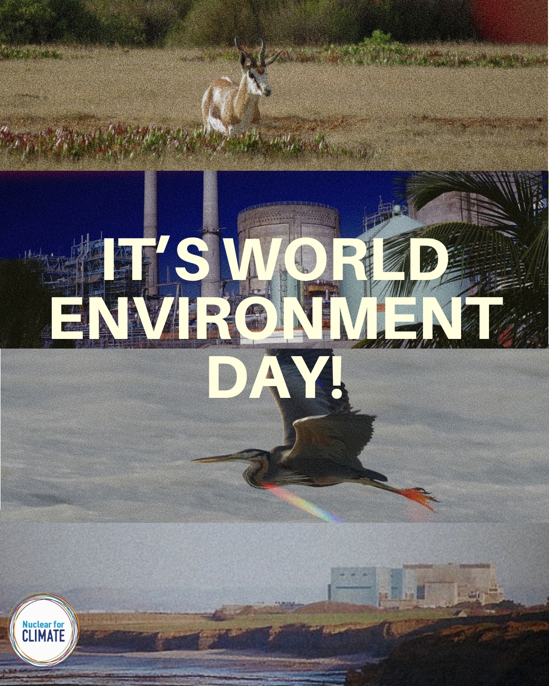 🌿 Can nuclear power plants be wildlife sanctuaries? With deliberate planning and climate engagement, the answer is yes!
🌍 This World Environment Day, we’re exploring how energy-generating facilities around the world—from South Africa to Florida—are creating thriving havens for endangered species and rare vegetation.
➡ Read these conservation success stories at the link in our bio.