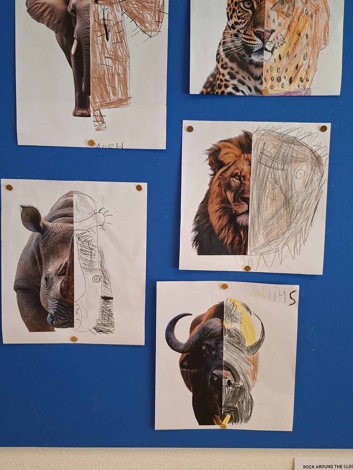 Prachtige tekeningen van de kinderen van groep 3. Thema dieren🐶🐥🐢🐏🐞
