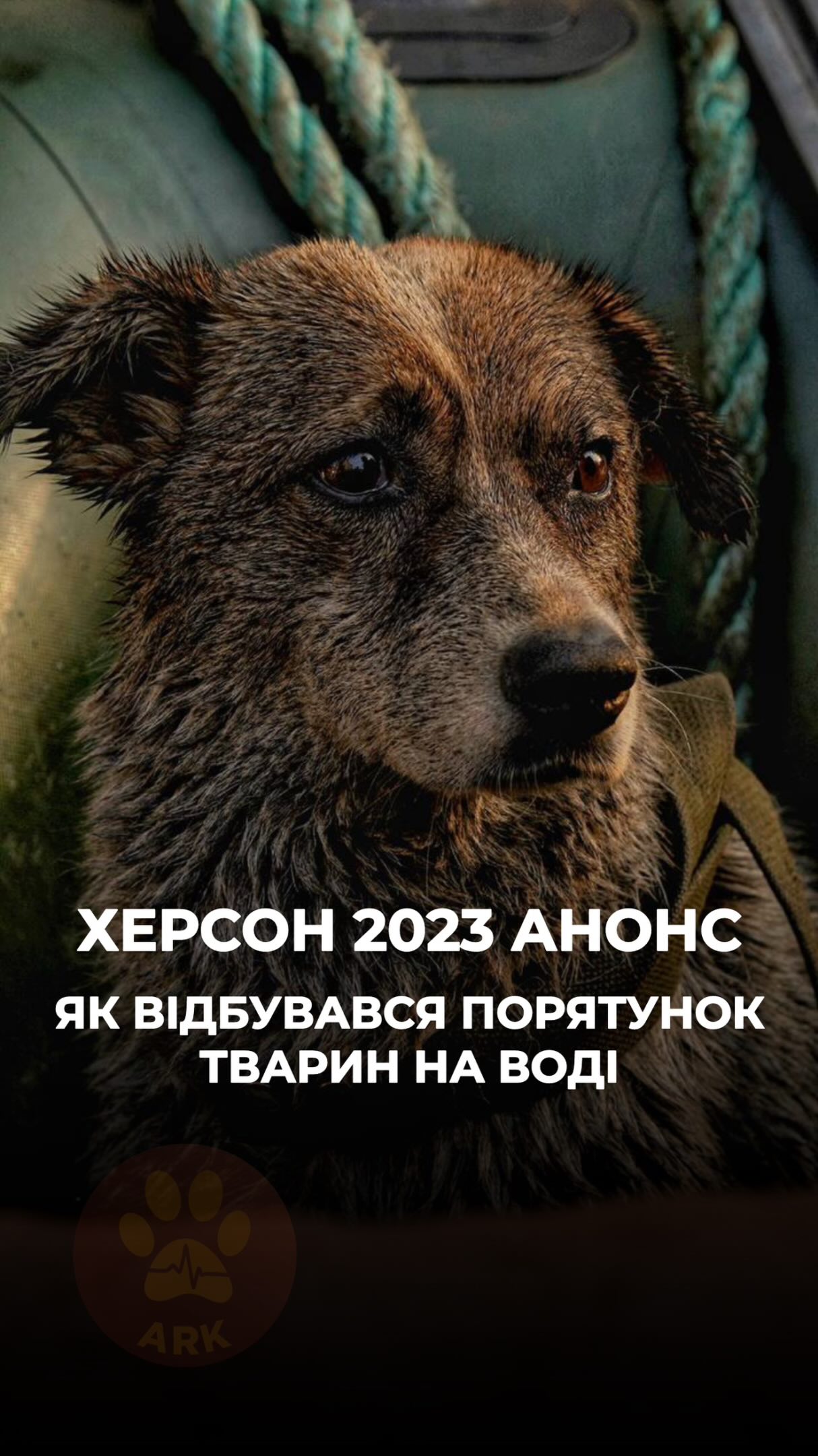 Херсон 6.06.2023 р*сіяни підірвали дамбу Каховської ГЕС. (⬇️ENG)
Сотні живих створінь опинилися буквально під водою.
Саме це стало точкою Всеукраїнської Єдності.
Сьогодні ввечері дивіться відео до річниці трагедії – як відбувався порятунок тварин на воді – у наших соцмережах.
Зробити донат можна за посиланням у біо чи в коментарях 👉
Kherson, June 6, 2023. Russian forces blew up the dam of the Kakhovka Hydroelectric Power Plant.
Hundreds of living beings were suddenly trapped by the floodwaters.
This tragedy became a moment of unity for people across Ukraine.
Tonight, watch our video marking the anniversary of the disaster and see how animals were rescued from the water in the aftermath — on our social media channels.
You can support our work by donating via the link in our bio or in the comments 👉