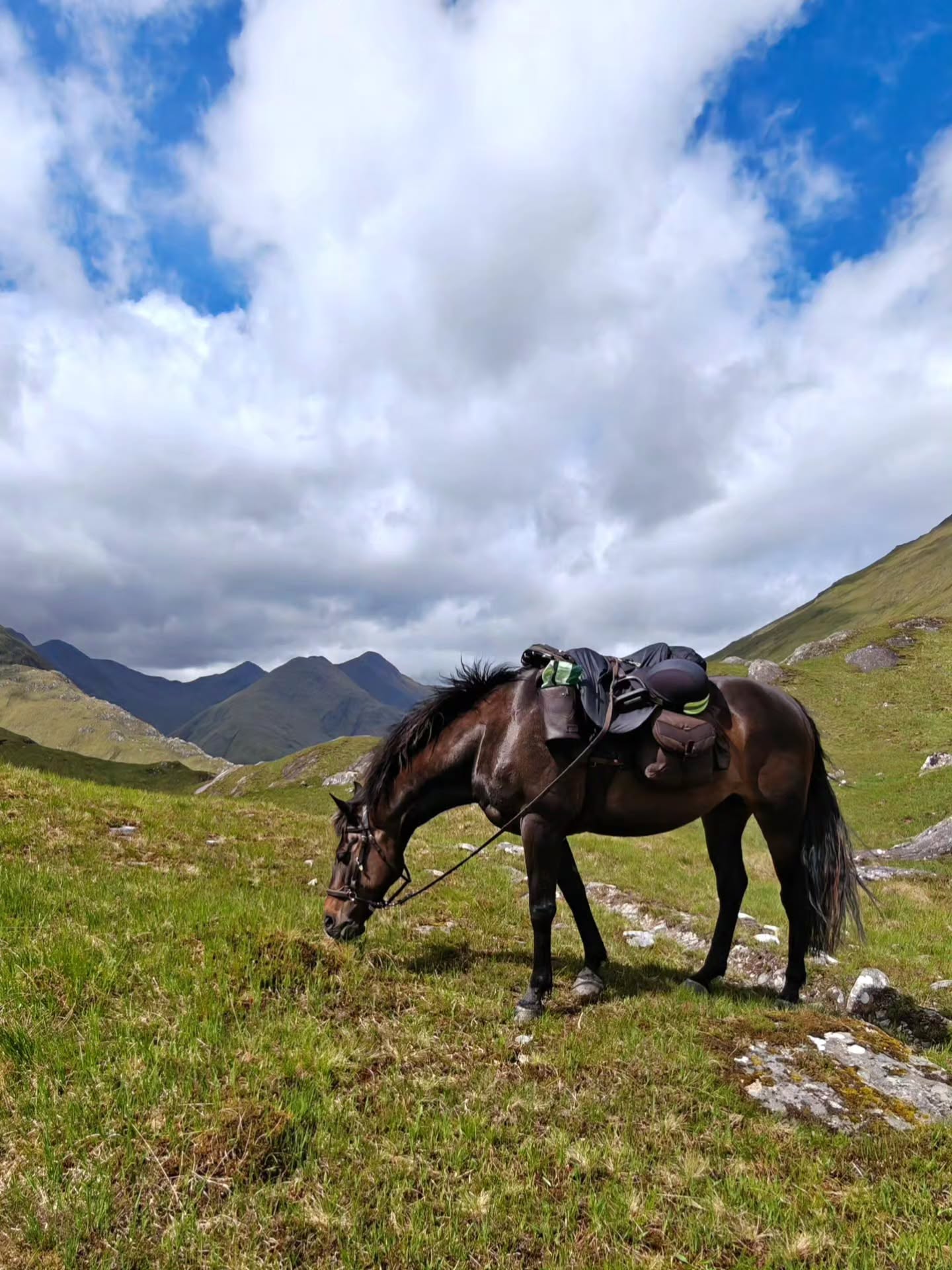 6 days pony packing on Skye.
I feel I know Scotland pretty well for cycling/gravel tracks so it's lovely to discover different areas and trails.
She did my proud - calm, surefooted, confident and forward thinking. I couldn't have asked for a better pony to be my adventure companion.
The weather wasn't the best in some ways (we got soaked through every day 😆🤦🏼♀️) but I do love Scotland in her moody colours 😍
Already planning the next one - aiming for the end of the midge season for a 4 day - but this time with Jumanji in tow so we can be self sufficient.
#scotland #adventure #pony #horse #trailride