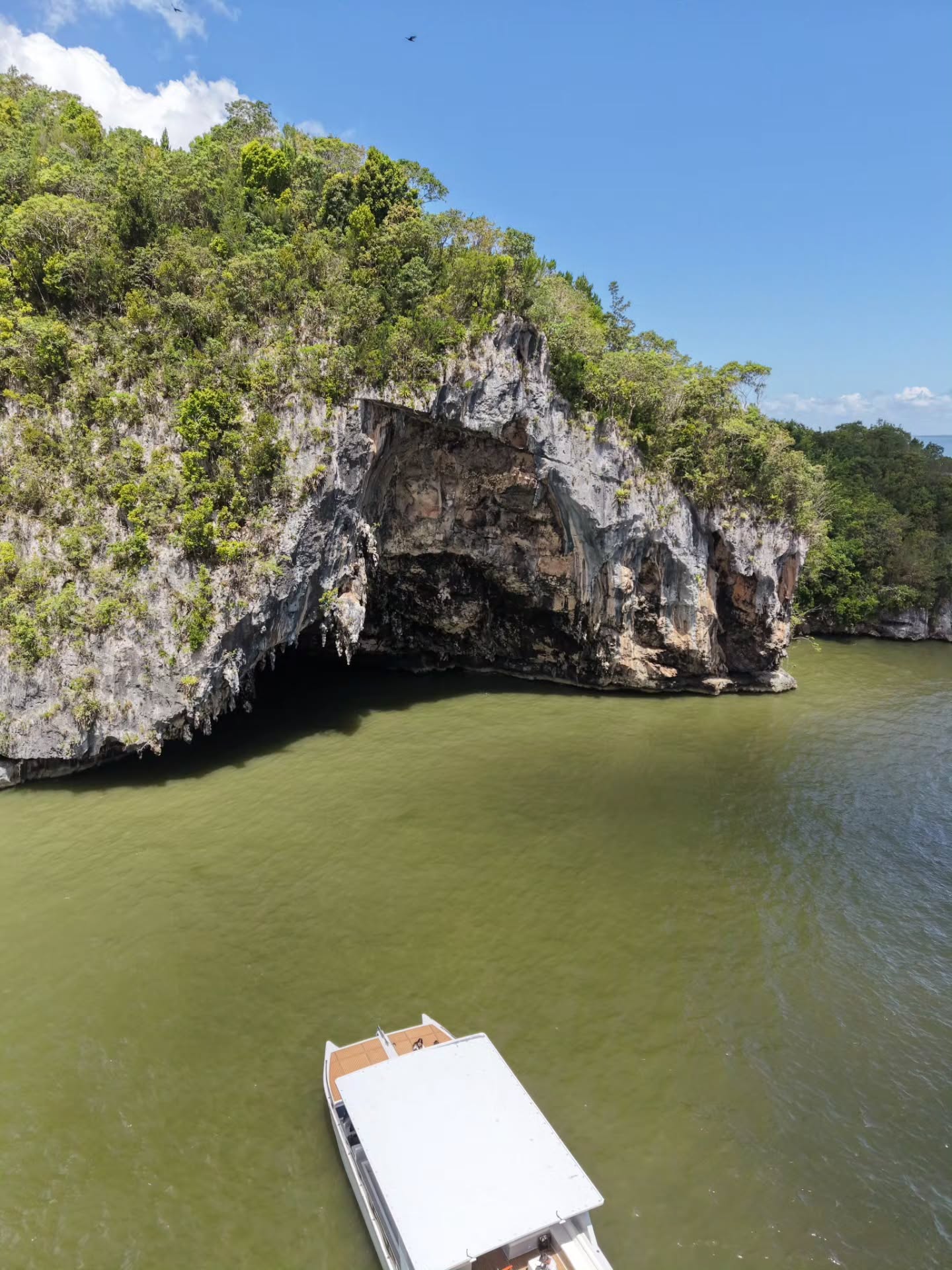 Disconnect and enjoy a private and exclusive experience on board one of our Luxury boat.
Embark and relax yourself, we take care of everything you need. Personalised, a la carte, tailor made service.
Let us know your wishes and we make them come true.
We create memories.
Get inspired by Samaná.
#getinspired #Samana #dominicanrepublic #luxurytravel