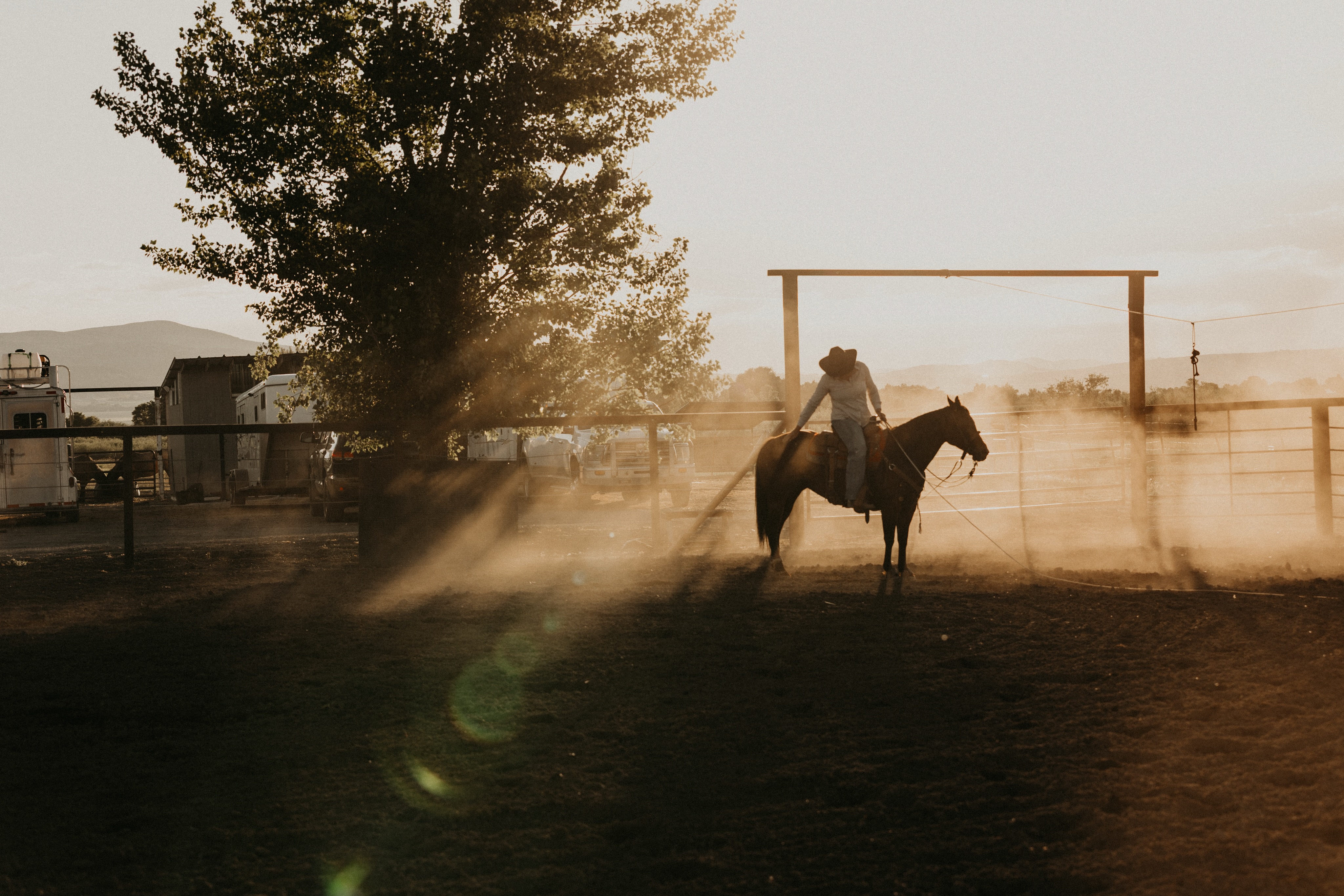 I feel like I never post horizontal images anymore. Such a shame because they’re always the best. I loved this little moment - Bailey praising her horse after a great roping run.