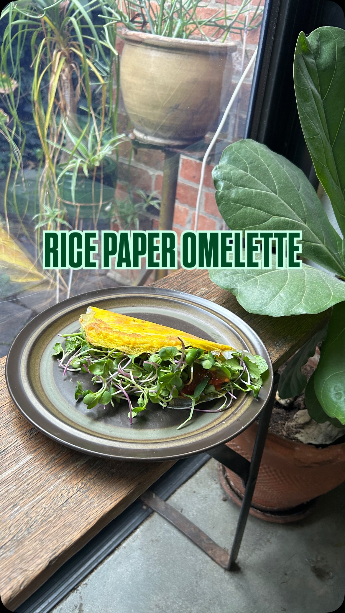 This morning I made this easy, seasonal & delicious breakfast that took minutes to make.
What you need…
1 sheet of rice paper
2 eggs
Salt & pepper
Avocado
Fresh herbs, I used Vietnamese mint, coriander & mint
Micro greens or salad mix
Chilli sauce