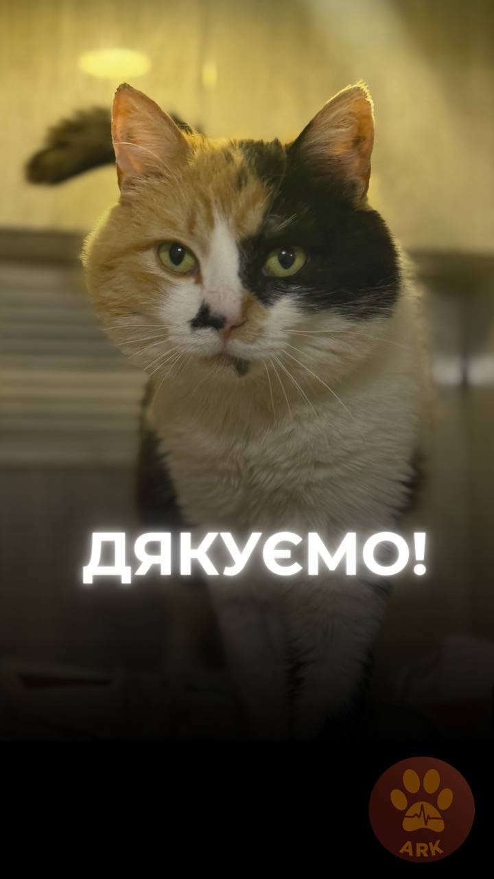 Ми дякуємо фонду @happy_paw за постійну підтримку і допомогу в порятунку тварин із зони бойових дій (⬇️ENG)
На п’ятому році активної війни одна з головних потреб для тварин, яких ми вивозимо з фронту, — це якісне харчування.
Воно допомагає їхньому організму відновити життєздатність і набратися сил.
Ми дуже дякуємо @happy_paw @purina.ukraine корм – завдяки йому у них є ця можливість.
А також @novaposhta_humanitarian – за доставку корму🙏🏻
Хай Життя переможе все!
We are grateful to @happy_paw for their ongoing support and help in rescuing animals from the front-line areas.
In the fifth year of the full-scale war, one of the most important needs for the animals we evacuate from the front is high-quality nutrition. It helps their bodies recover, regain strength, and restore their vitality.
A huge thank you to @happy_paw and @purina.ukraine for providing the food that makes this possible.
And to @novaposhta_humanitarian for delivering it. 🙏🏻
May Life overcome everything!