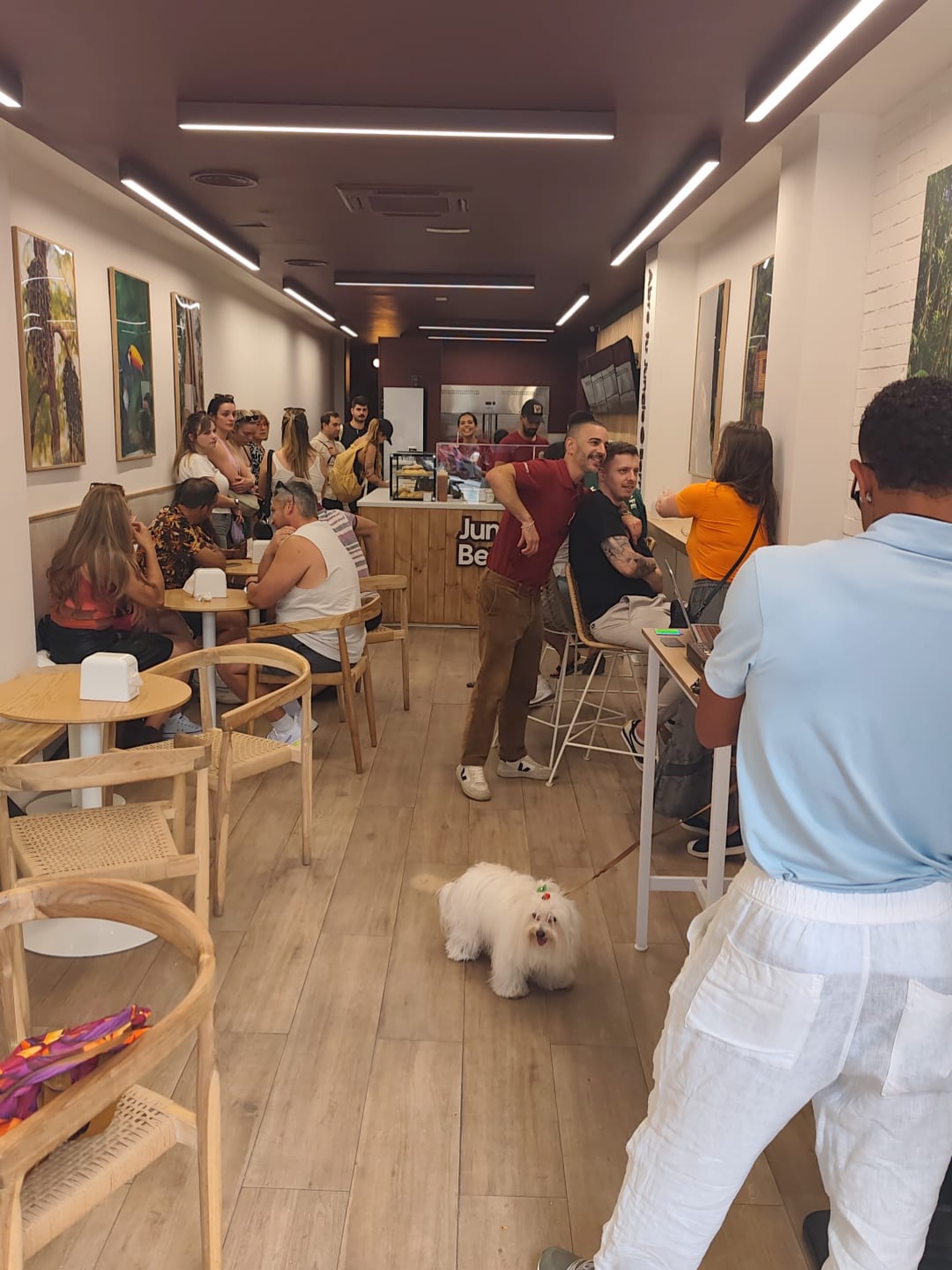 Today, Spain welcomes its very first Jungle Berry store! šŖšøš
Weāre incredibly excited for our neighbours and couldnāt be happier to see the Jungle Berry family continue to grow across Europe.
Congratulations on your opening day - wishing you every success, happy customers, and many bowls ahead! @jungleberry.cat
Ā”Mucho Ć©xito en esta nueva aventura y enhorabuena por la apertura! šš
#jungleberry