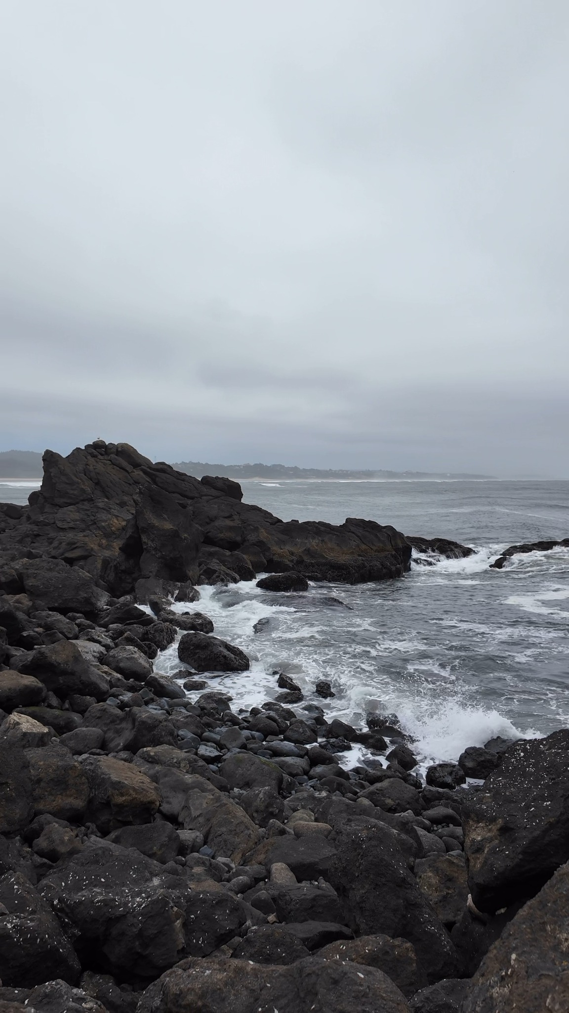 Found a quiet spot; might stay a while.
(volume up)
#discovernewport #newportoregon #oregoncoast #oregoncoastviews #coastalliving