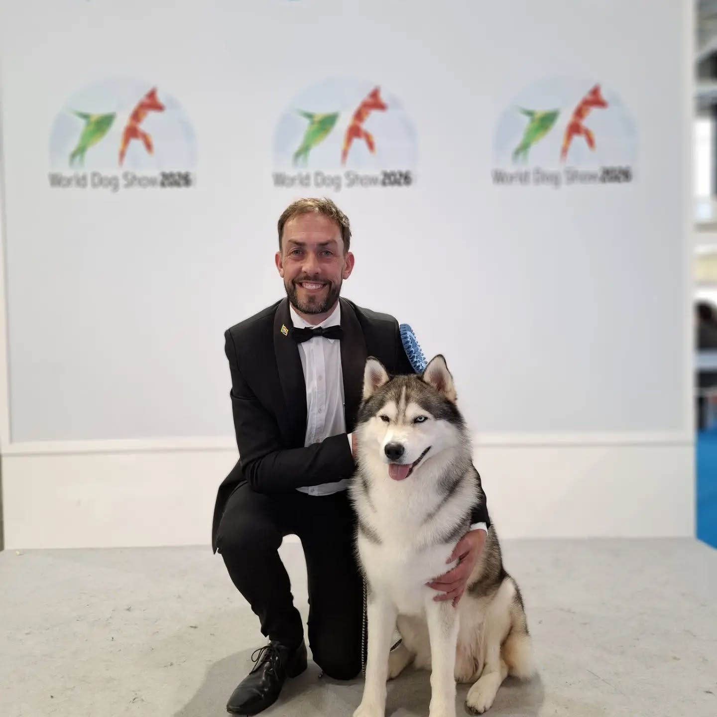 As our very first World Dog Show journey comes to an end, my heart is full.
When we first dreamed of bringing Knox to the world stage, it felt like something so far away. Today, as we look back on the past few days in Italy, I am overwhelmed with gratitude for every person who helped turn that dream into reality.
To everyone who supported us, encouraged us, sponsored us, followed our journey, and believed in us โ thank you. This adventure would never have happened without you.
A very special thank you to Guido & Klaus, Dagmar, Janine and Michaela. Your kindness, friendship, support, and willingness to help at every moment made this experience even more special.
To my partner, Warren, thank you for being my constant cheerleader, my sounding board, my travel companion, and my biggest supporter through every high and low. Sharing this adventure with you made it unforgettable.
And finally, to Knox.
My boy, you endured endless hours of travel, unfamiliar surroundings, long days, and fierce international competition. Yet every single time you stepped into the ring, you gave me everything you had. You represented South Africa with pride and heart, and you were placed at every show against some of the finest dogs in the world.
The results are wonderful, but they are not what makes me proudest. What makes me proud is your spirit, your trust, your resilience, and the bond we share. No matter what happens in any ring, you will always be my Number 1.
Thank you, Italy, for the memories, the friendships, the lessons, and the experience of a lifetime.
Ciao bella, until next time. ๐ฎ๐นโค๏ธ๐ฟ๐ฆ
#WorldDogShow2026 #FCIWorldChallenge #TeamSouthAfrica #Knox #SpiritKeeper DreamsDoComeTrue