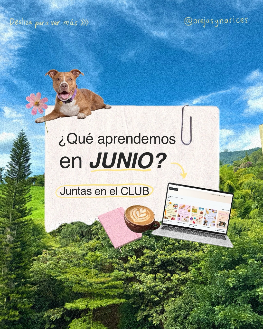 Junio llegó y tenemos una súper clase recien salida del horno 🥧 que ya está disponible dentro del Club!
Es sobre las bases del bienestar canino y sé que la vas a amar, así que si ya estás dentro, ve a verla pronto 🐶🥰🌿
Entender a nuestros perrunitos desde su naturaleza cambia completamente la forma en que los acompañamos, y eso es exactamente lo que aprenderemos juntas este mes 🐾❤️🩹
Si todavía no haces parte del Club, este es tu momento 💛 Te espero 👉🏽 Únete en el link en mi perfil 🙋🏽♀️💕
